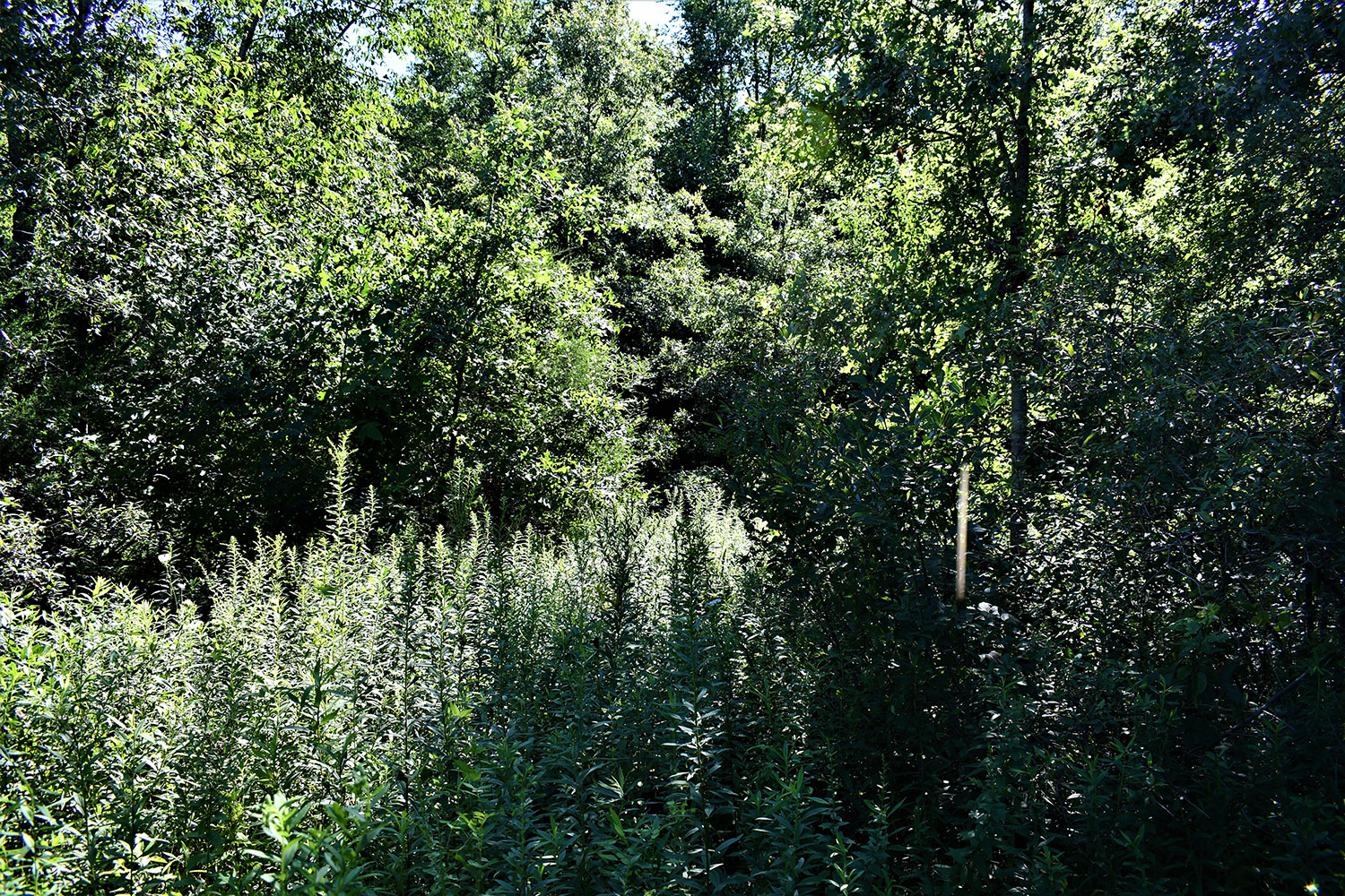 32farmland_real_estate