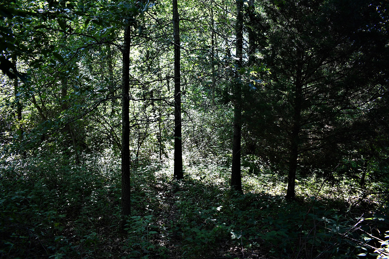 33farmland_real_estate