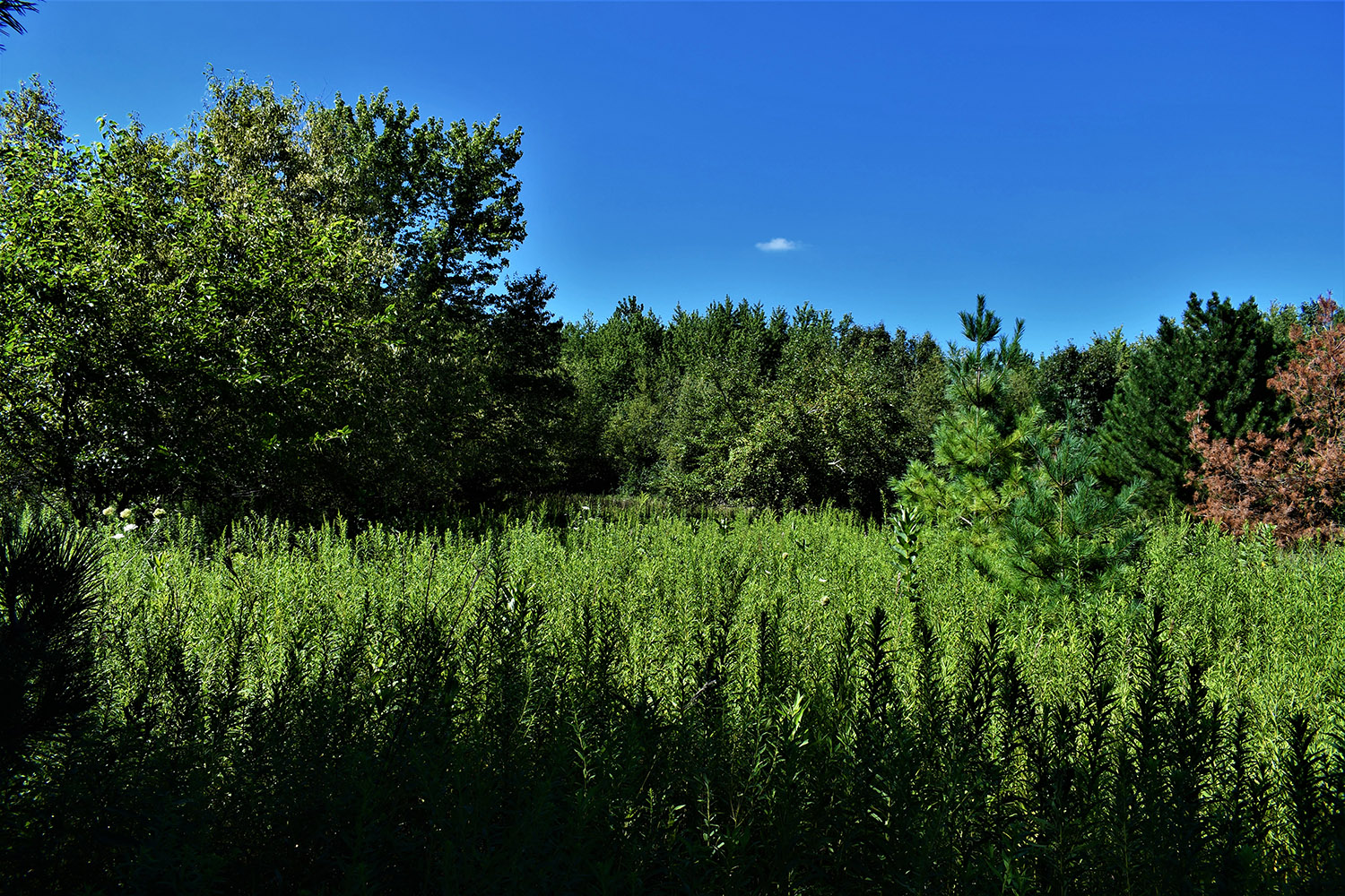 34farmland_real_estate