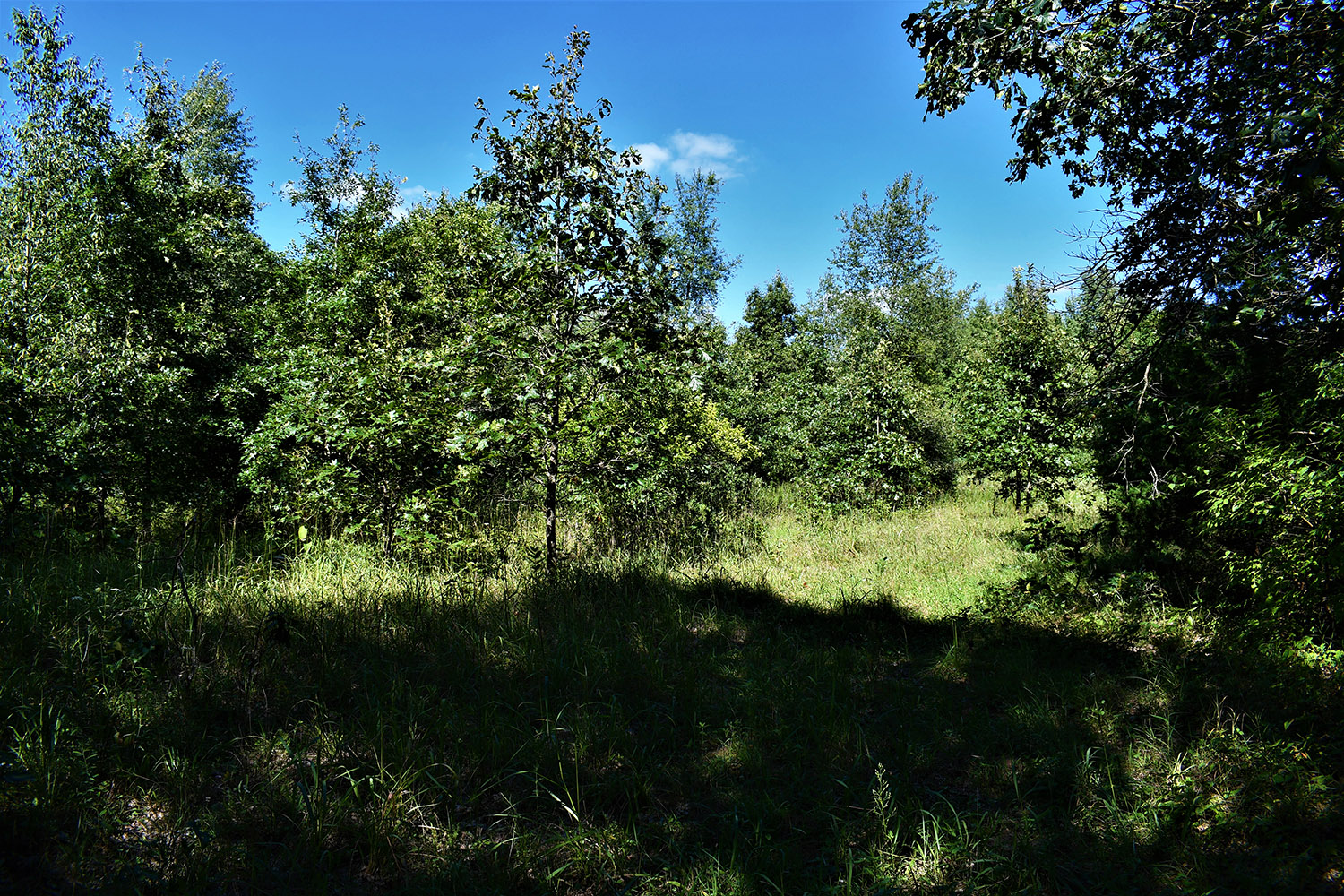 35farmland_real_estate