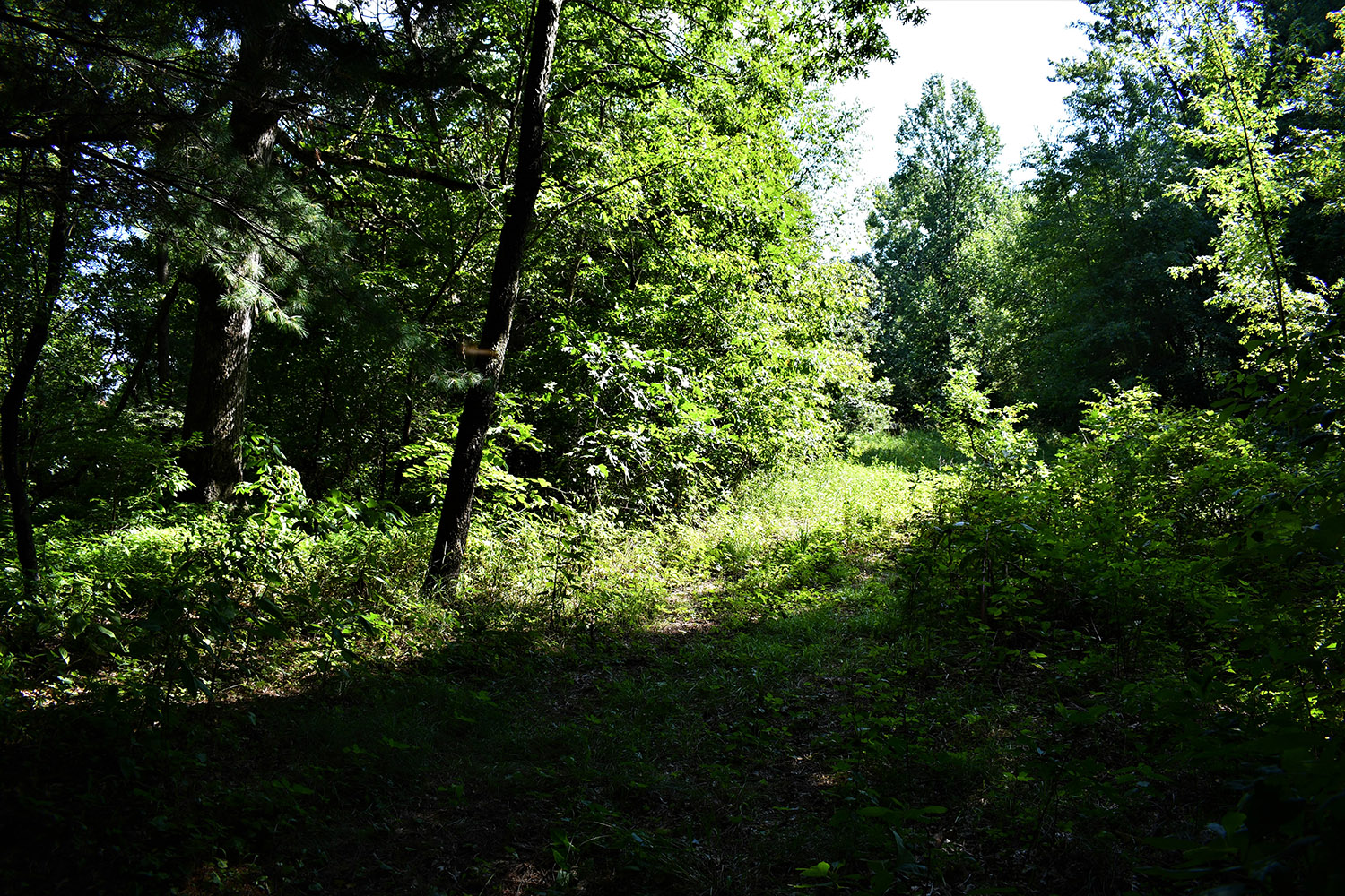 37farmland_real_estate