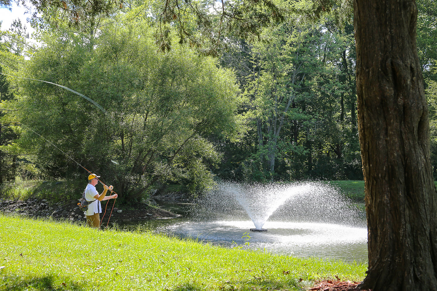 MA8A0078west_lafayette