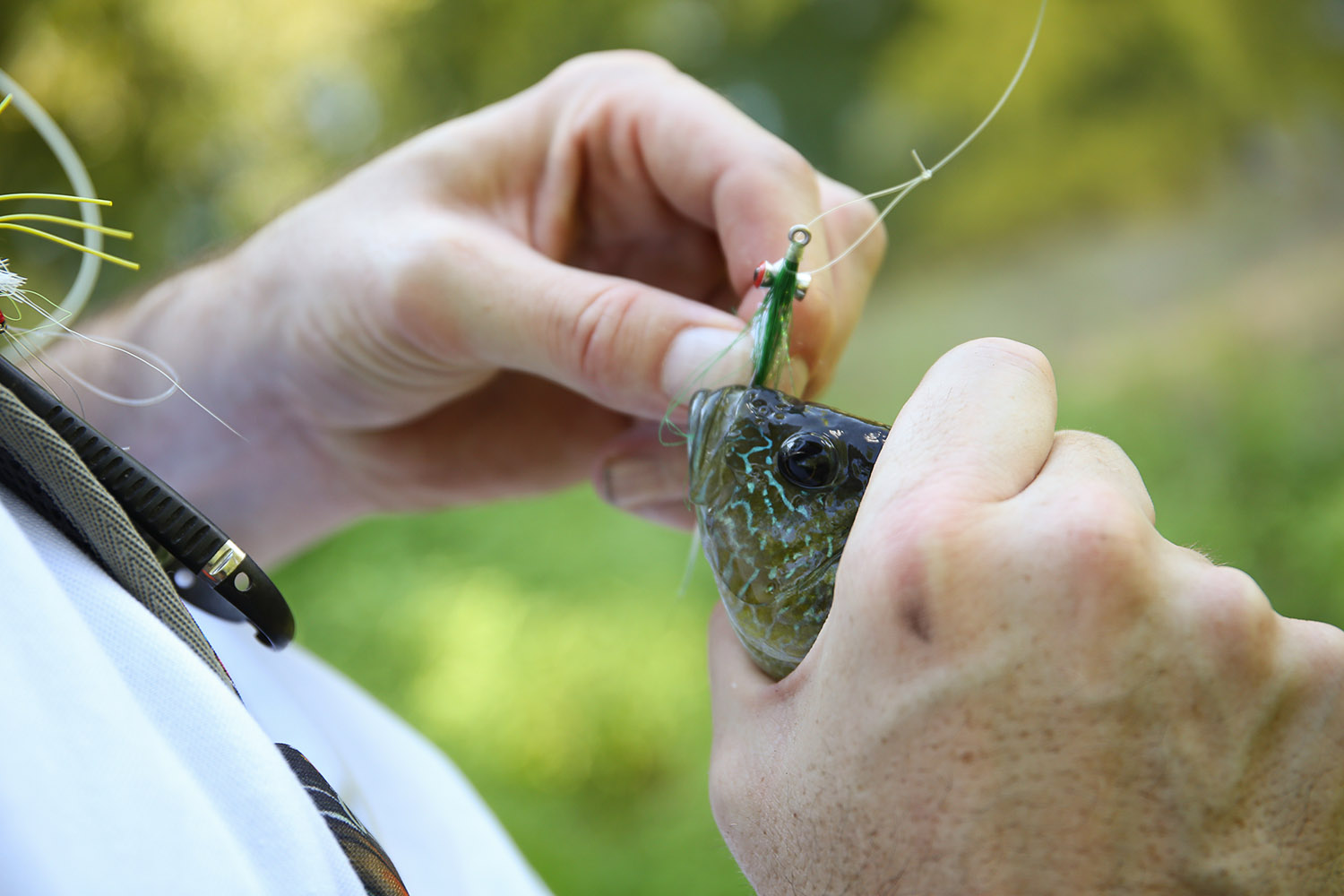 MA8A0093west_lafayette