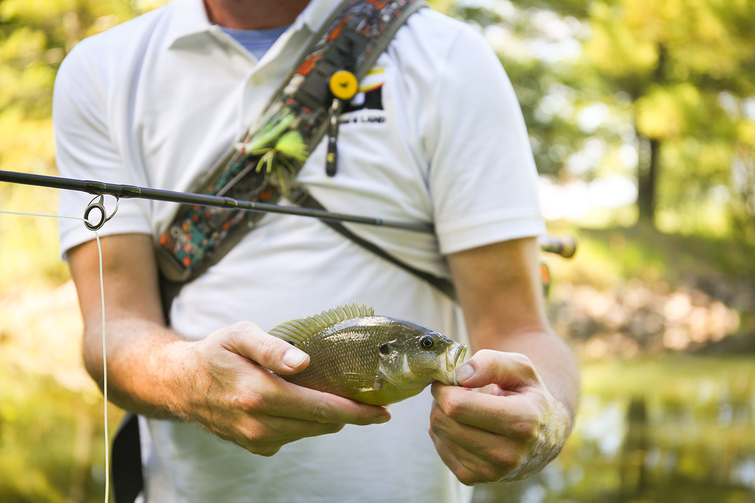 MA8A0101west_lafayette