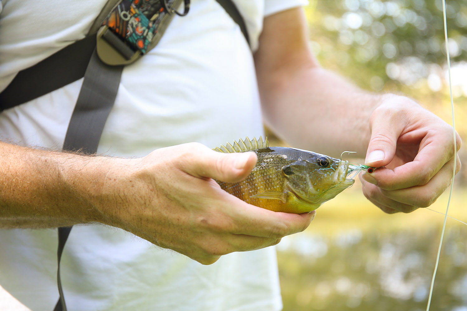 MA8A0110west_lafayette