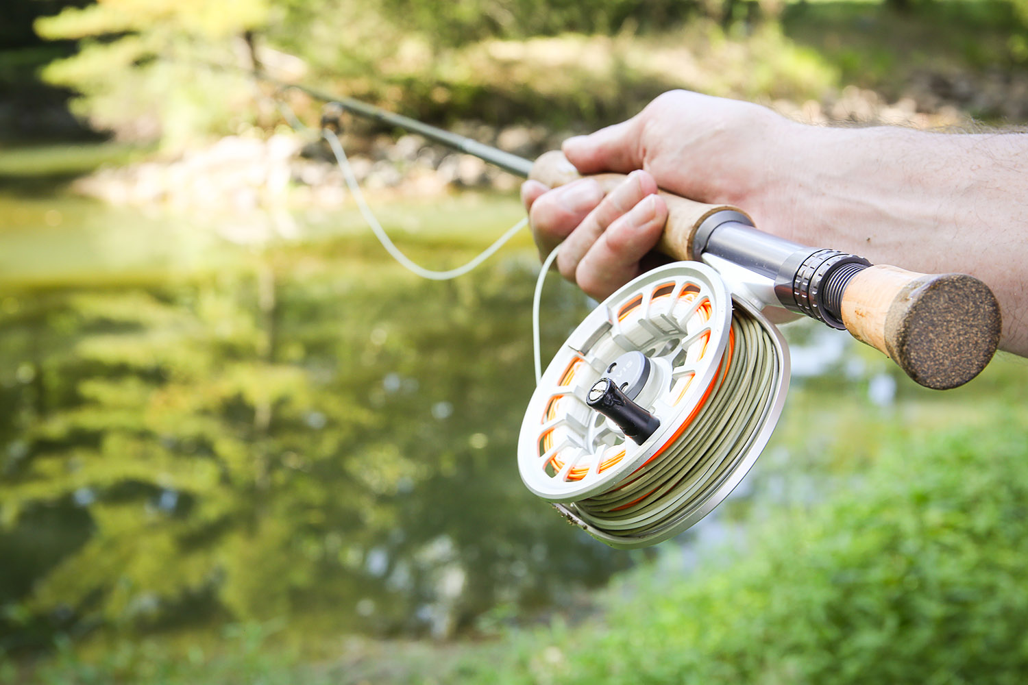 MA8A0113west_lafayette