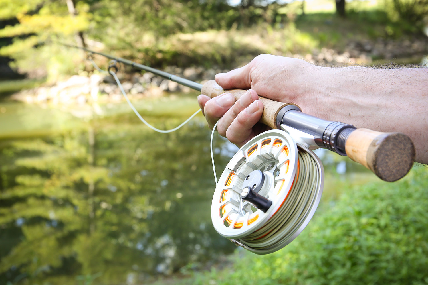 MA8A0115west_lafayette