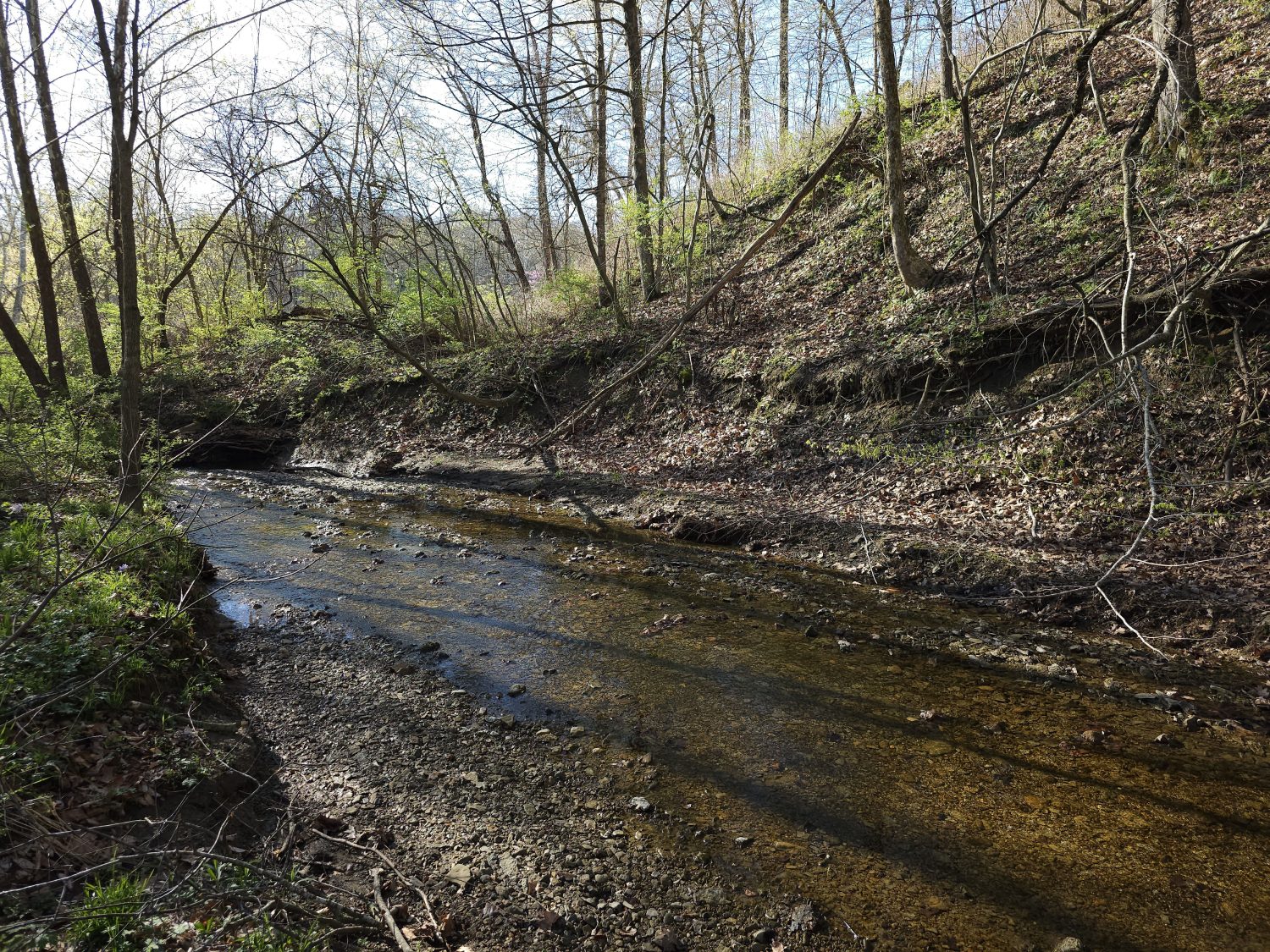 20230413_094701jpg_Wooded_Building_Site