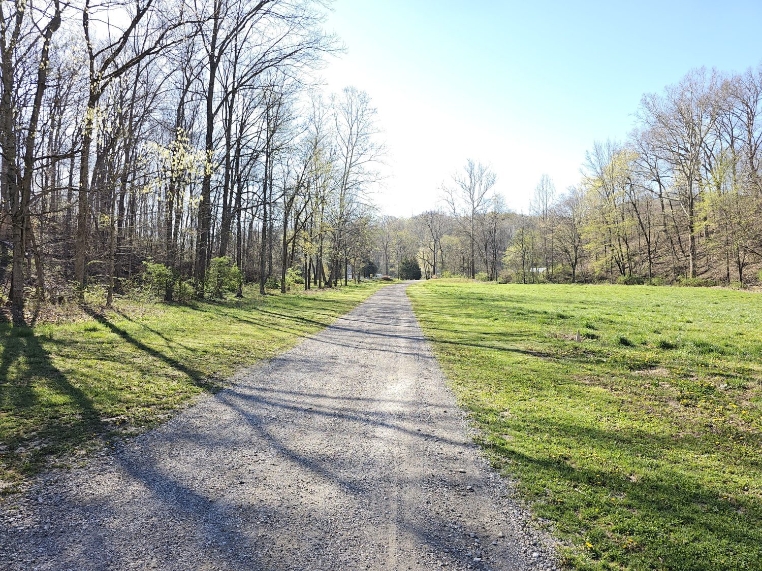 20230413_100142jpg_Wooded_Building_Site
