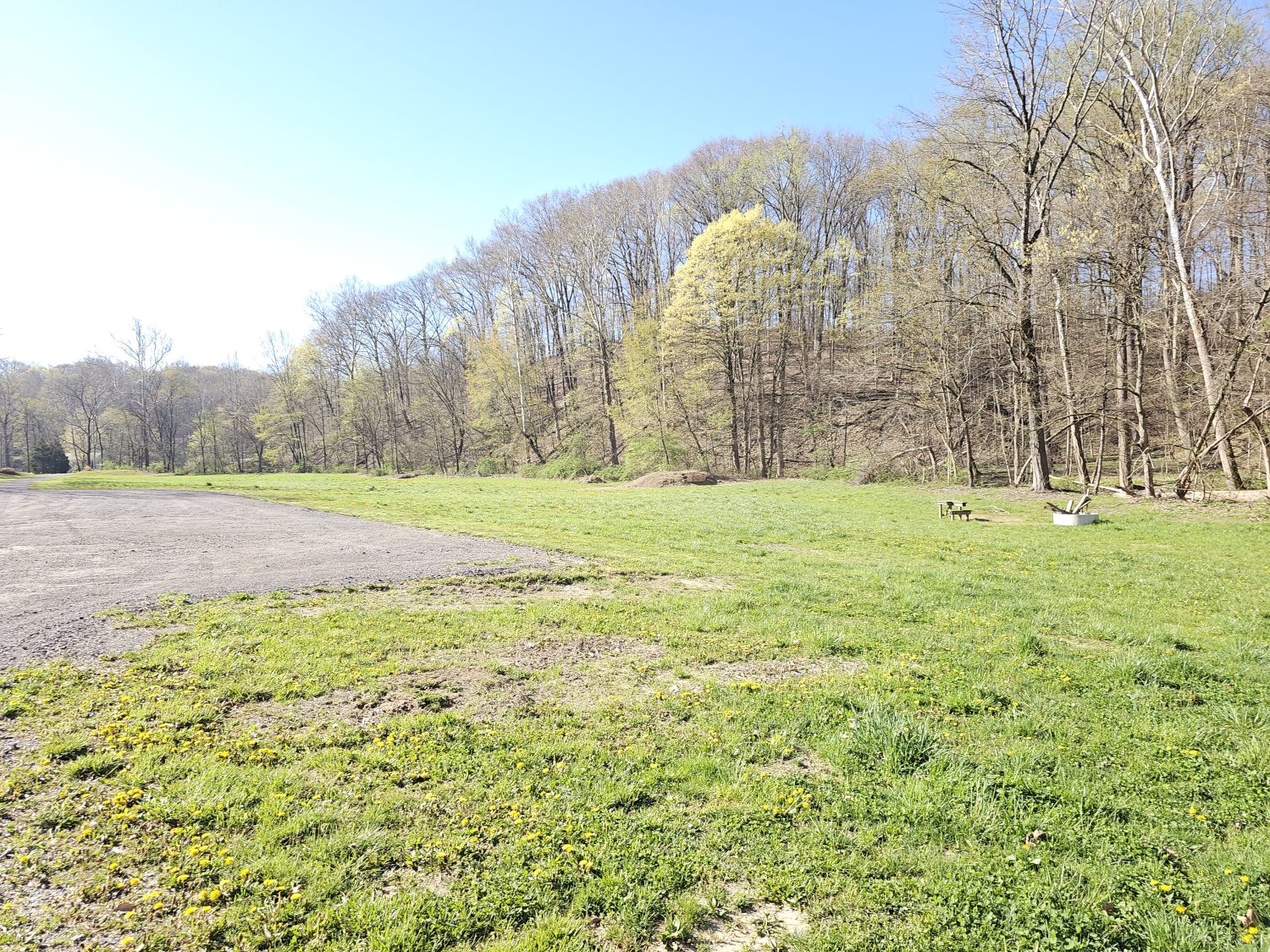 20230413_100408jpg_Wooded_Building_Site