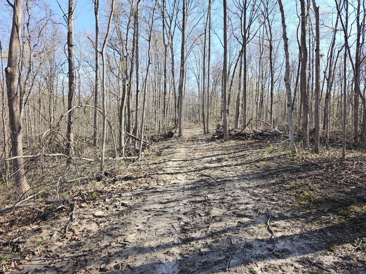 20230413_100644jpg_Wooded_Building_Site