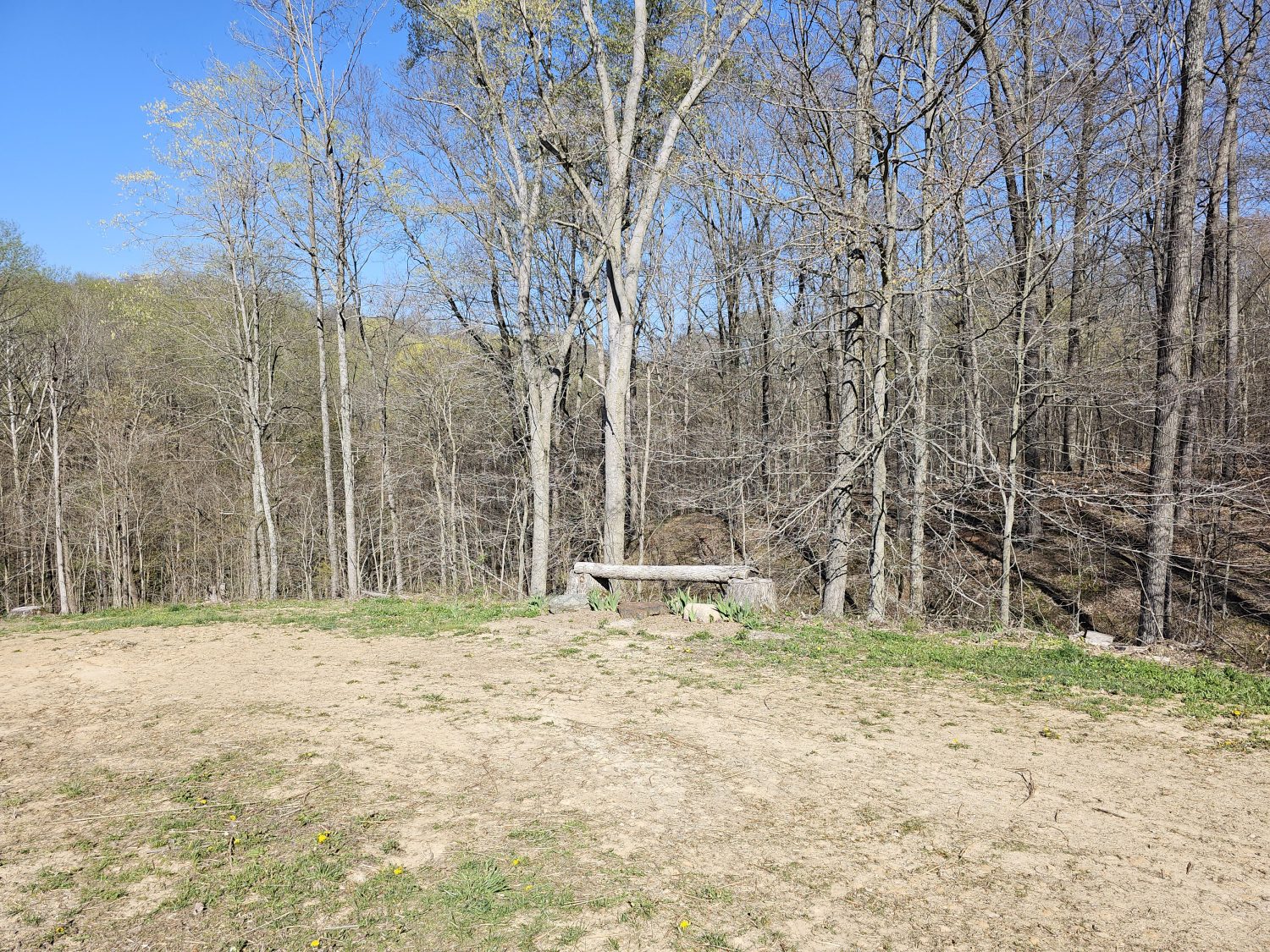 20230413_102913jpg_Wooded_Building_Site