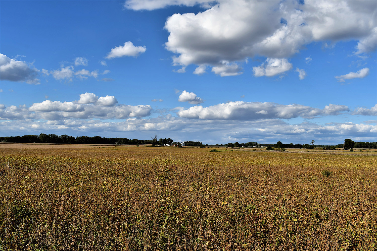 35white_county_indiana_auction