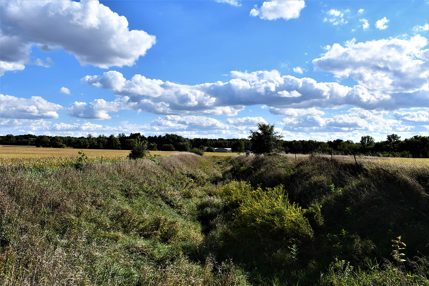 40white_county_indiana_auction