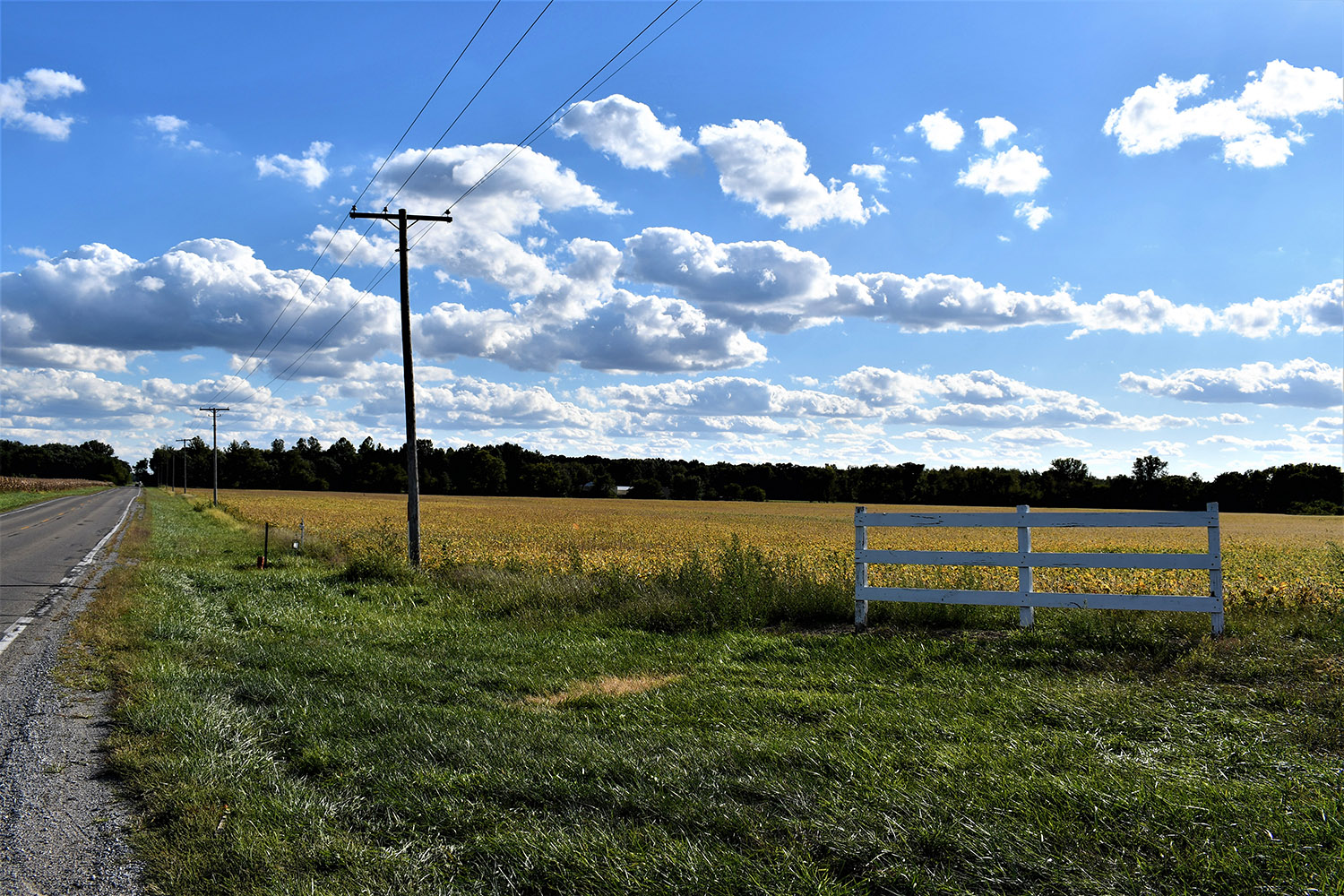 42white_county_indiana_auction