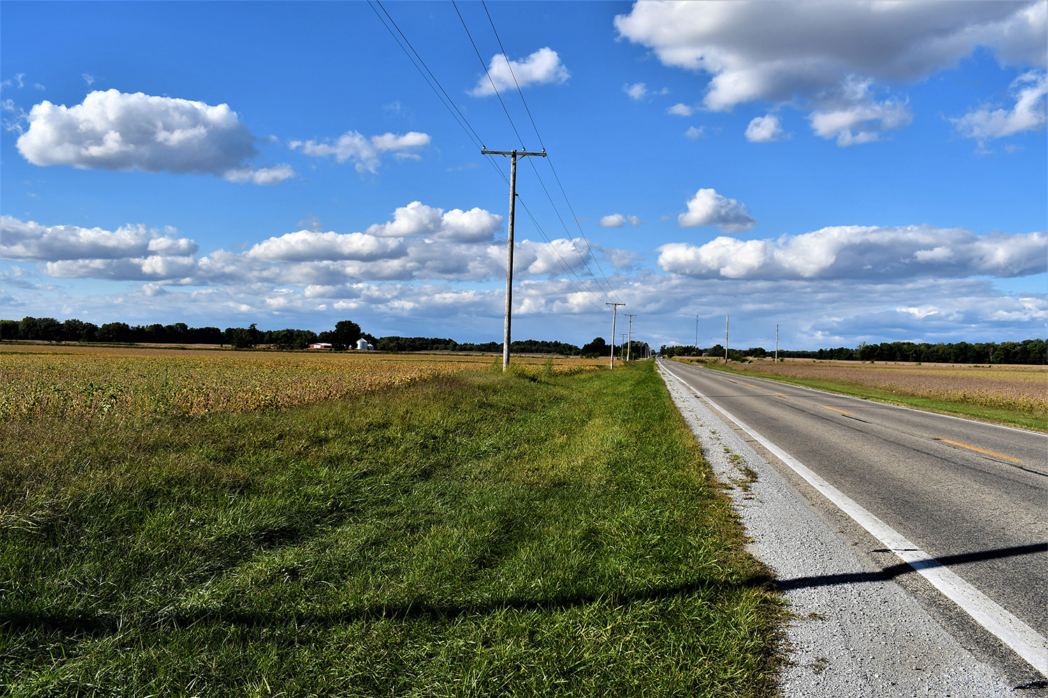 43white_county_indiana_auction