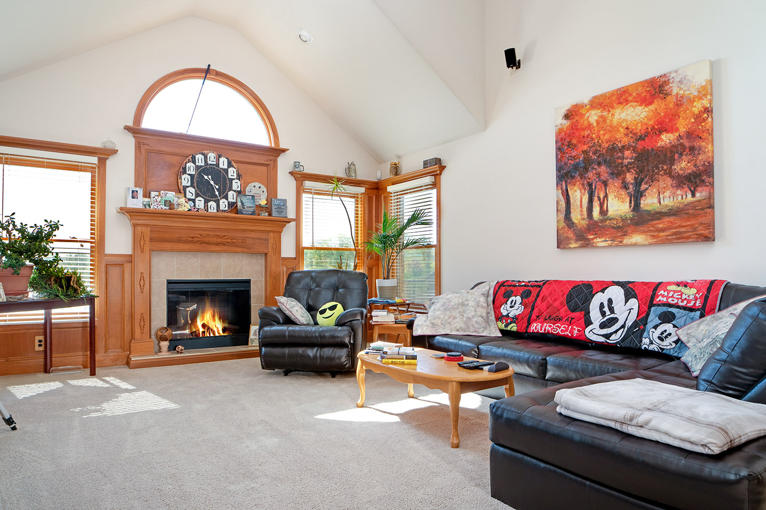 9shelby_county_indiana