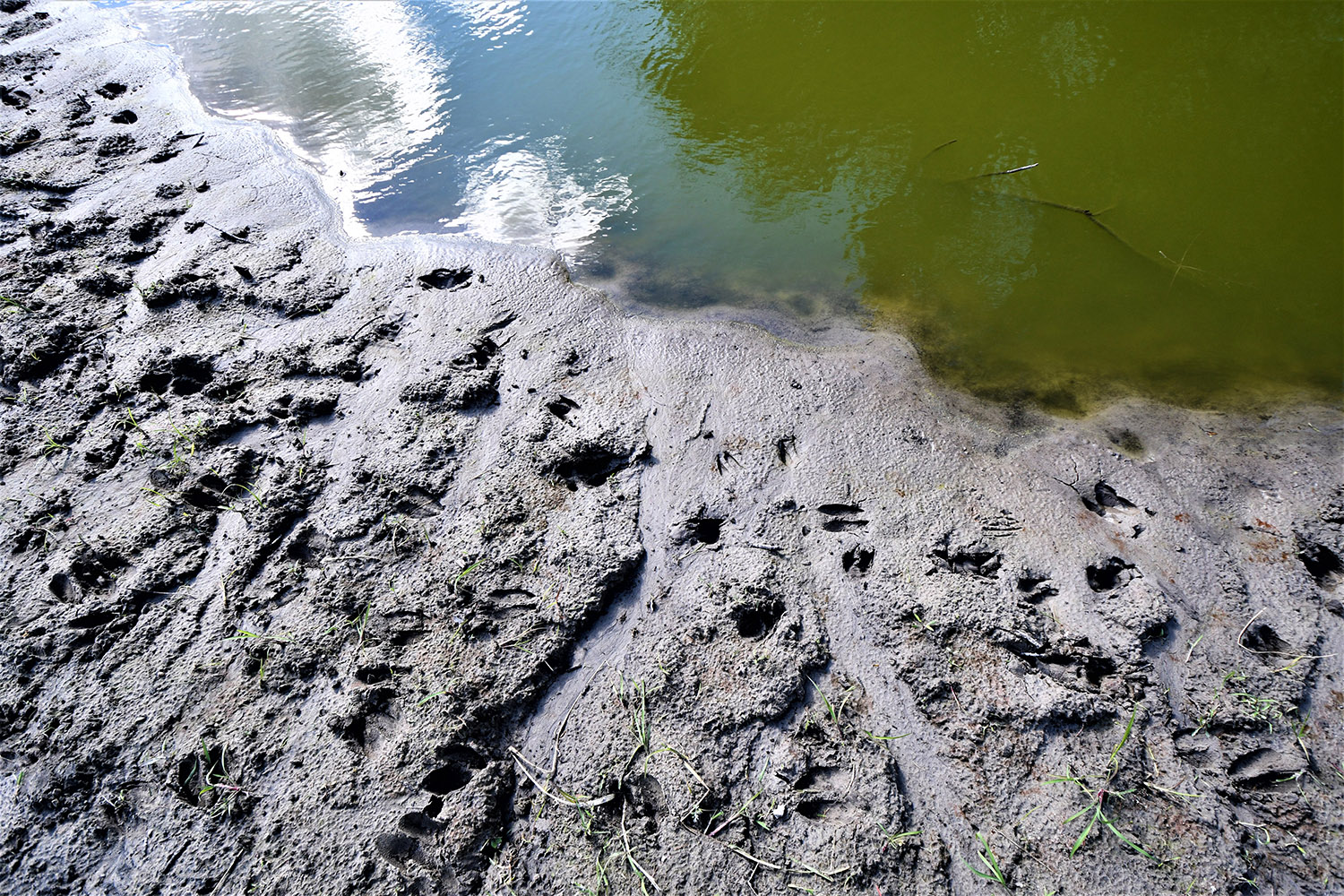 04_white_county_indiana