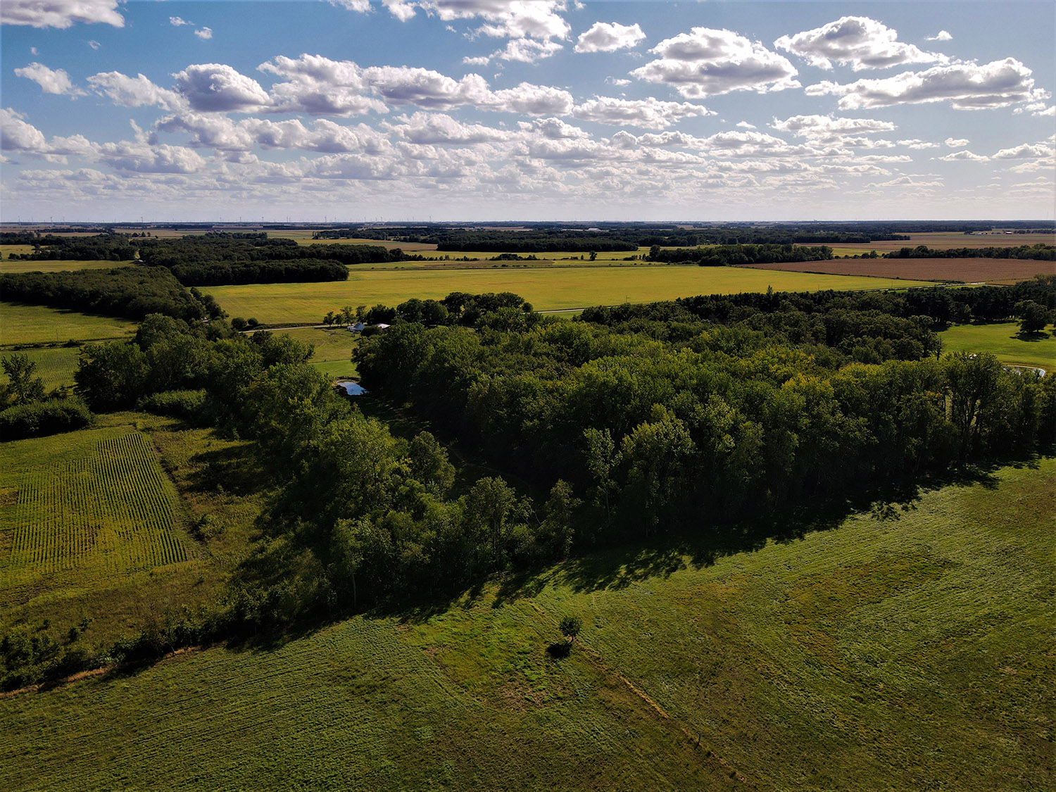 WHITE COUNTY, INDIANA 15 +/ ACRE PROPERTY FOR SALE Farm Real Estate for Sale, Wooded Property