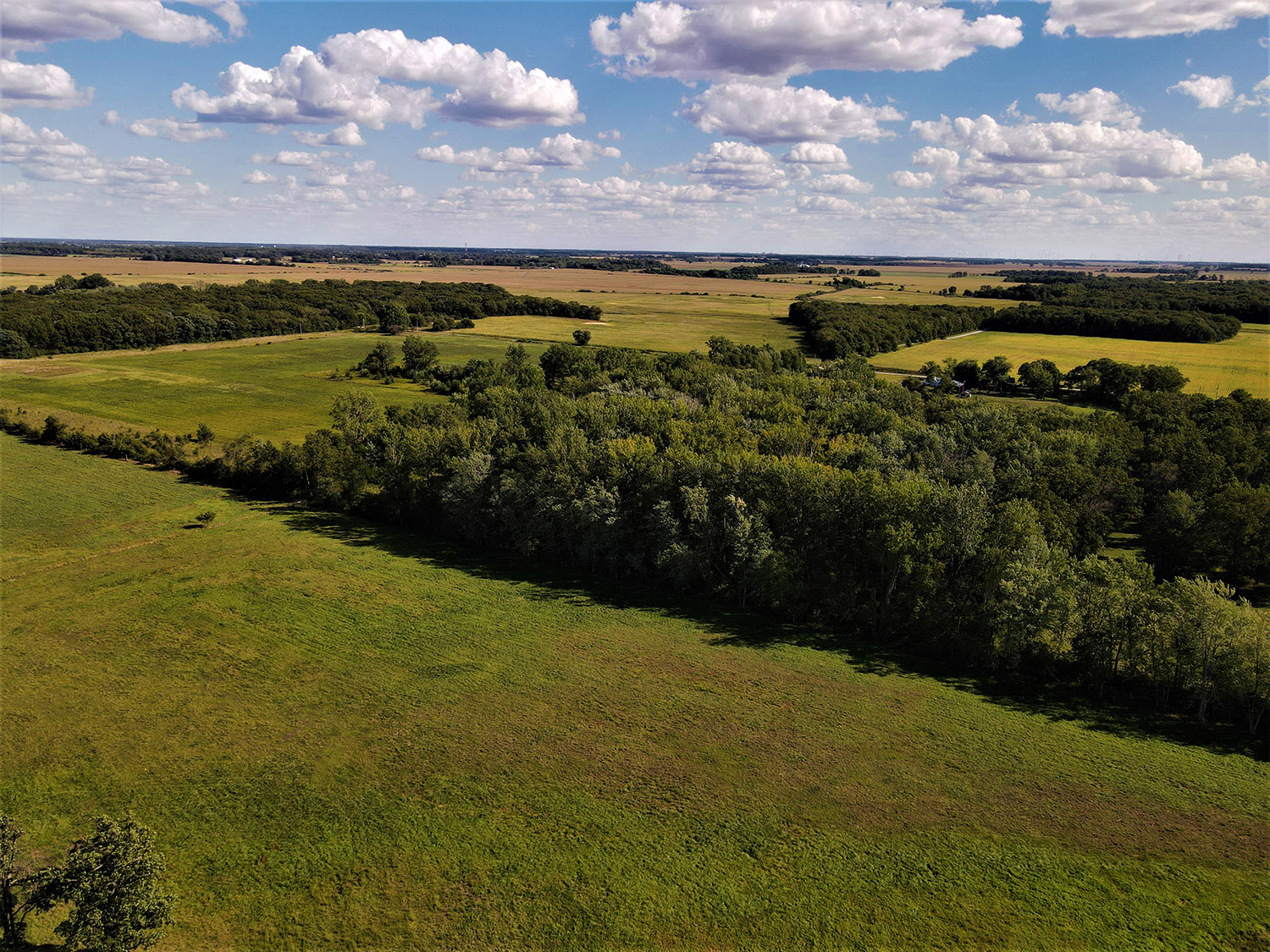 WHITE COUNTY, INDIANA 15 +/ ACRE PROPERTY FOR SALE Farm Real Estate