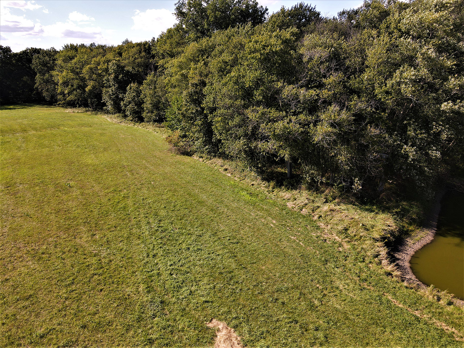 WHITE COUNTY, INDIANA 15 +/ ACRE PROPERTY FOR SALE Farm Real Estate for Sale, Wooded Property