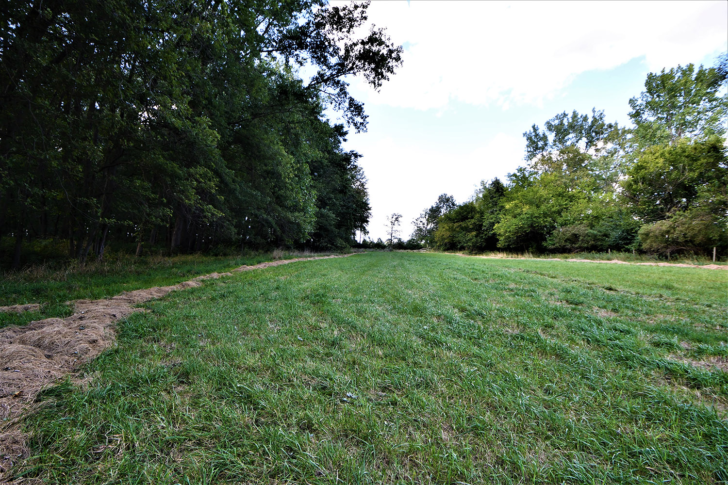 WHITE COUNTY, INDIANA 15 +/ ACRE PROPERTY FOR SALE Farm Real Estate