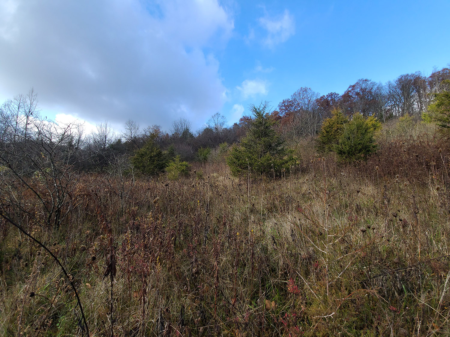 17 +/ Acres Franklin County on Snail Creek Farm Real Estate for Sale