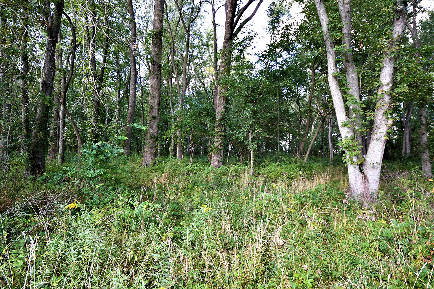 20_white_county_indiana