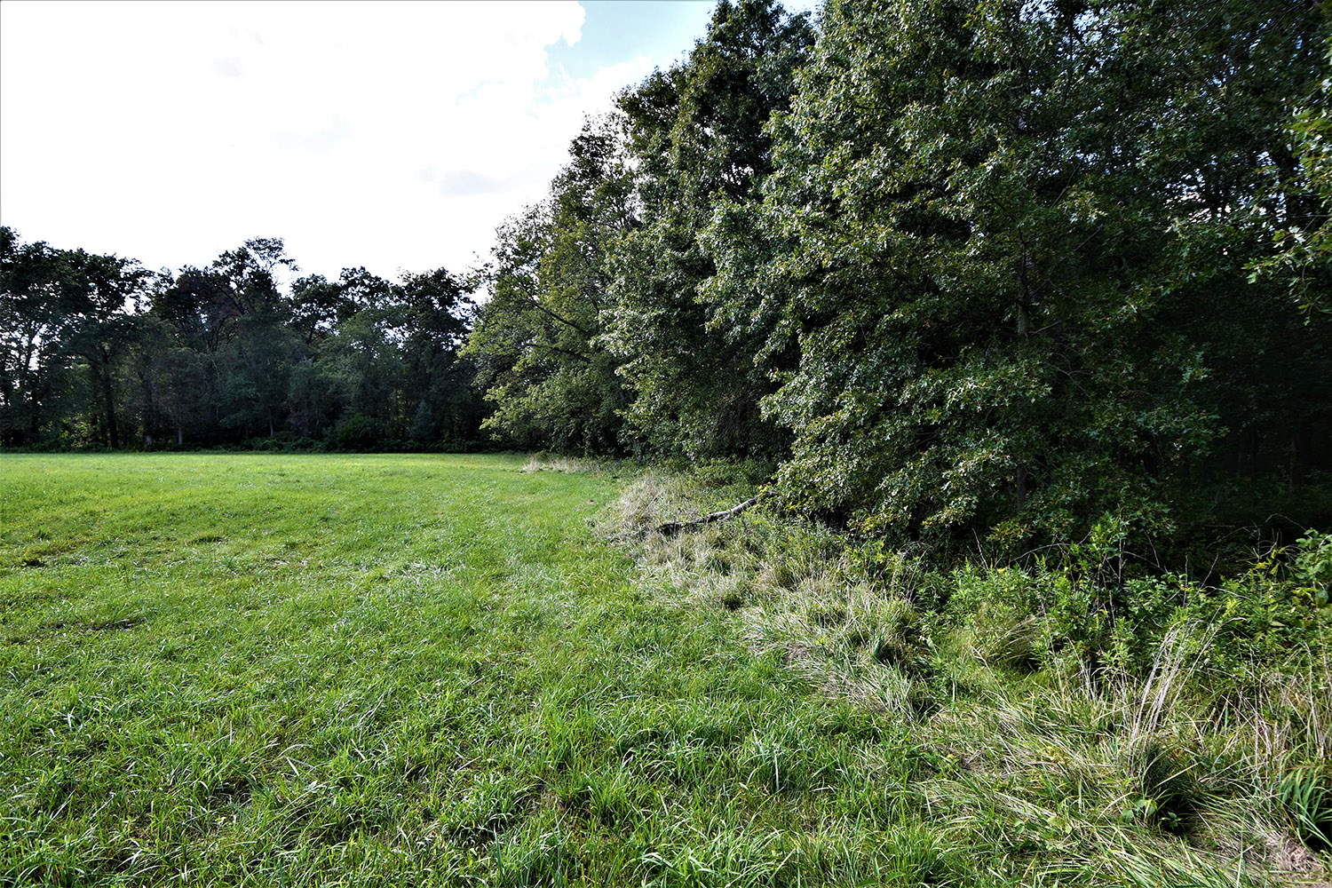 22_white_county_indiana