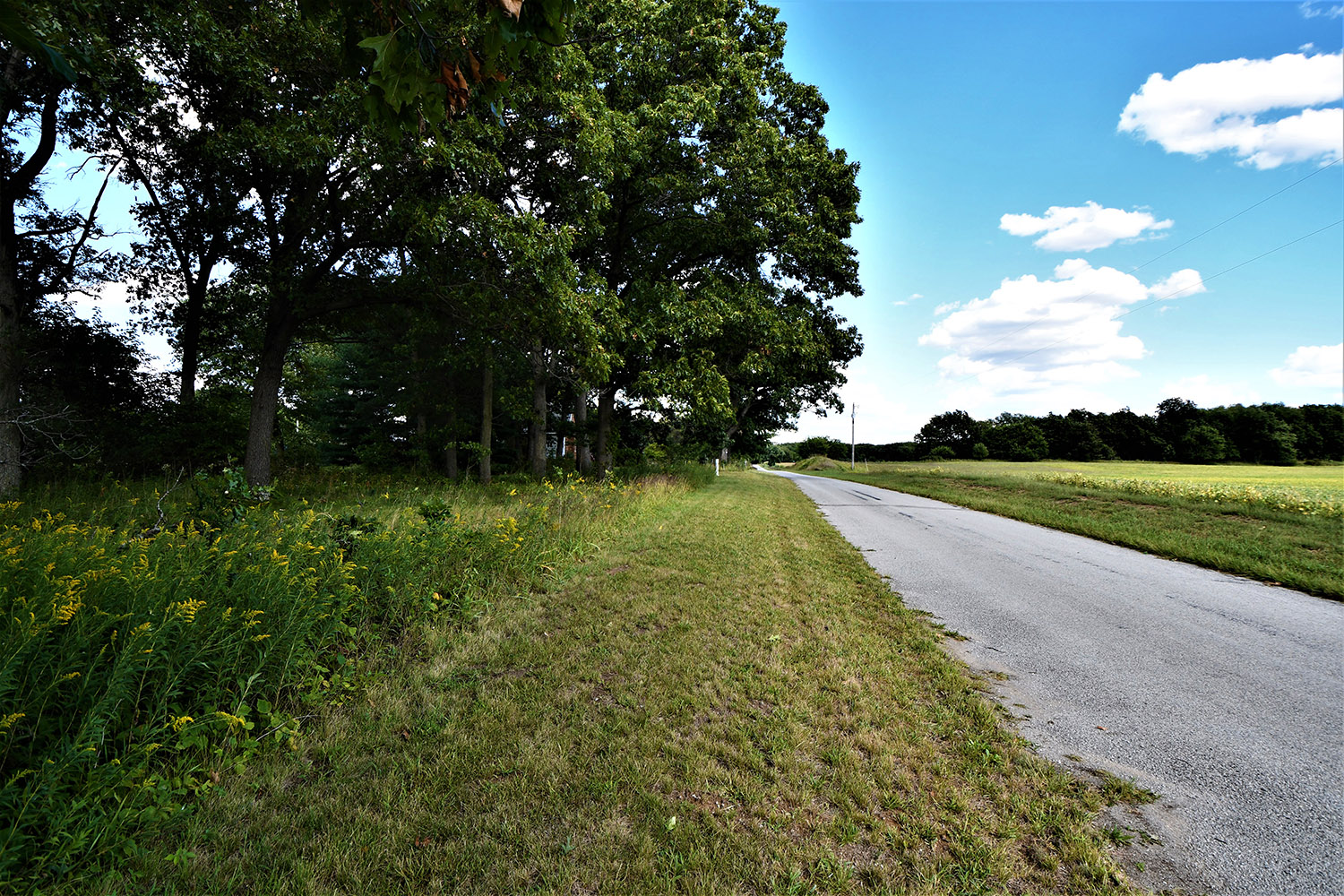 24_white_county_indiana