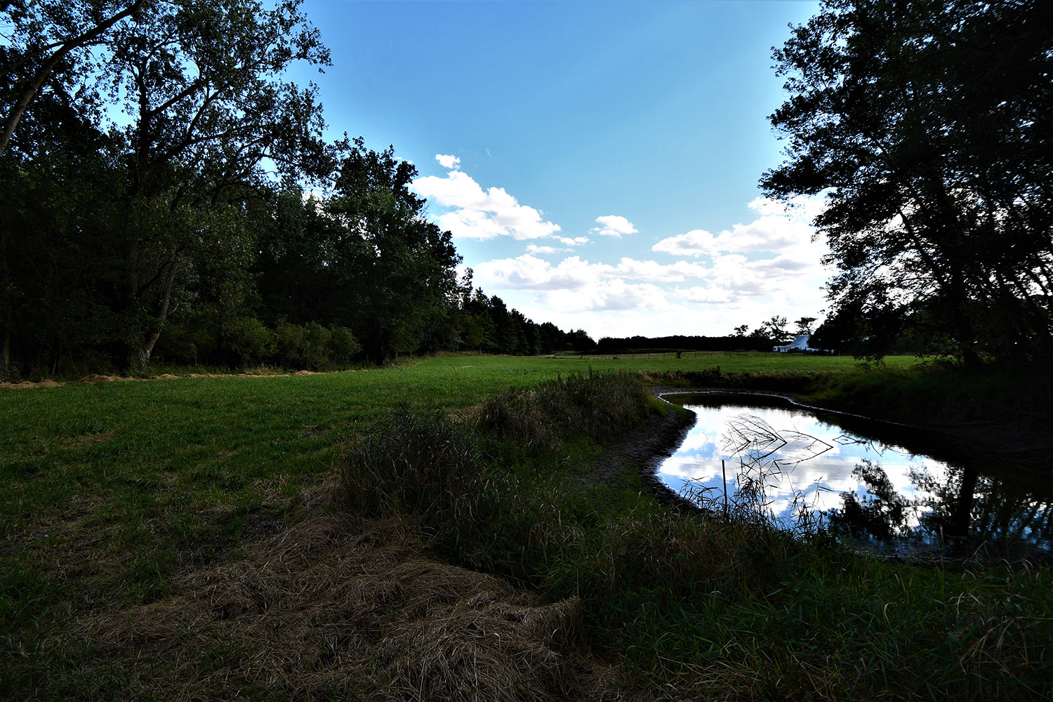 27_white_county_indiana