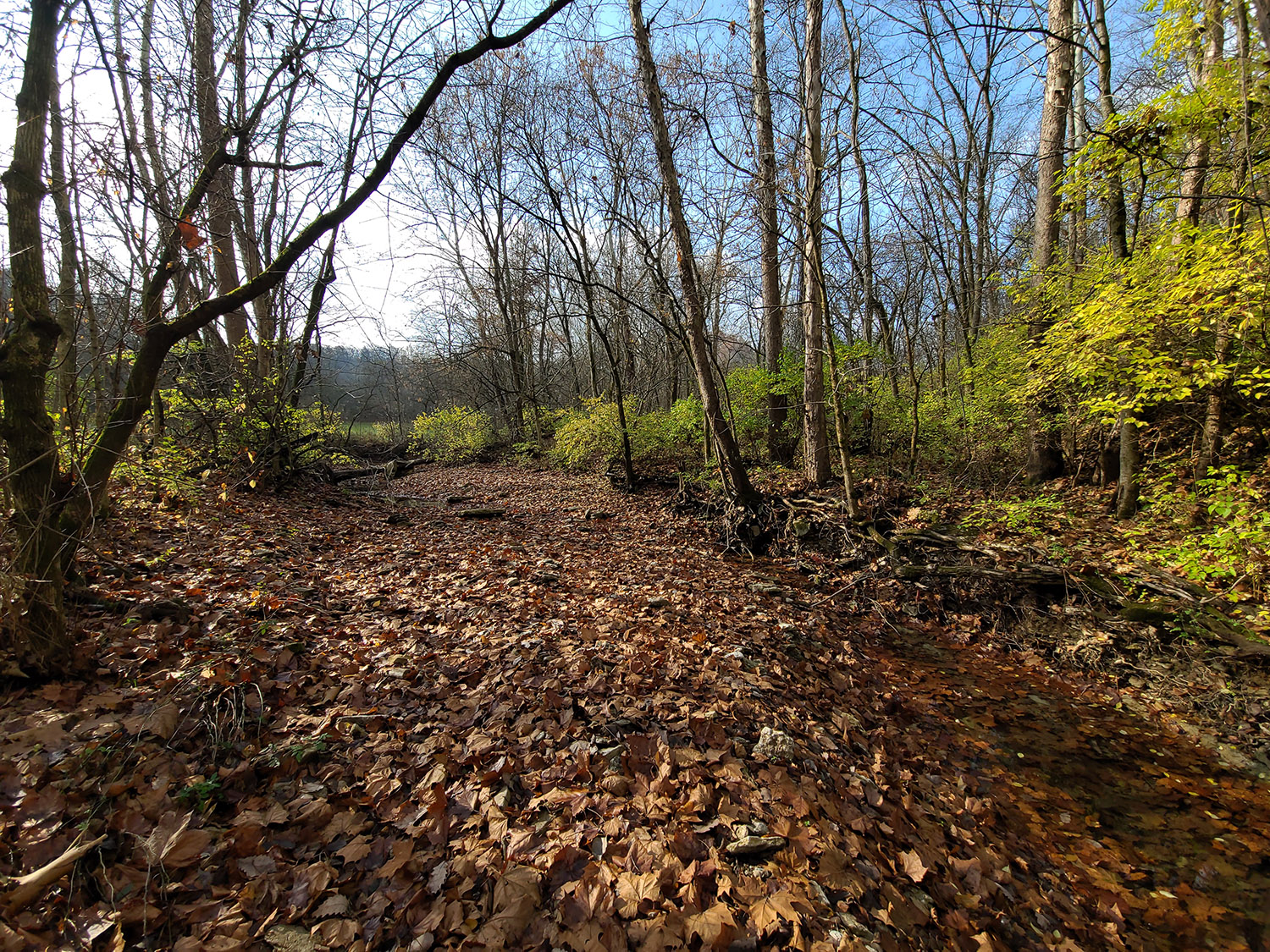 17 +/ Acres Franklin County on Snail Creek Farm Real Estate for Sale