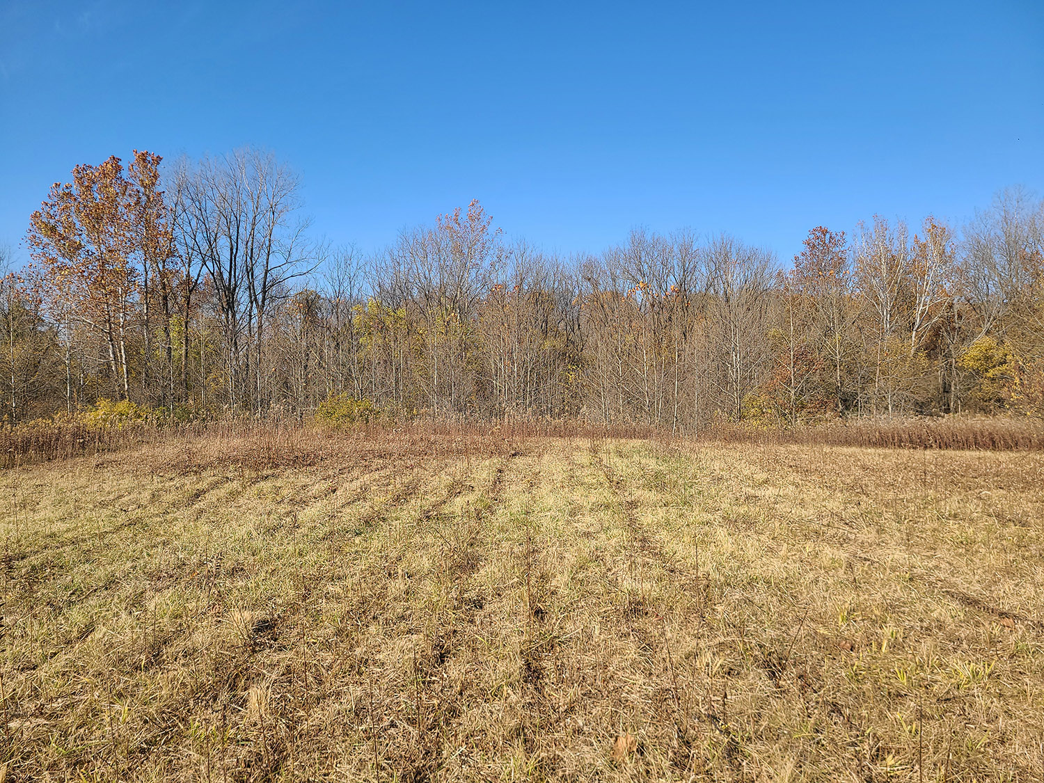 Union Archives Farm Real Estate for Sale, Wooded Property & Land