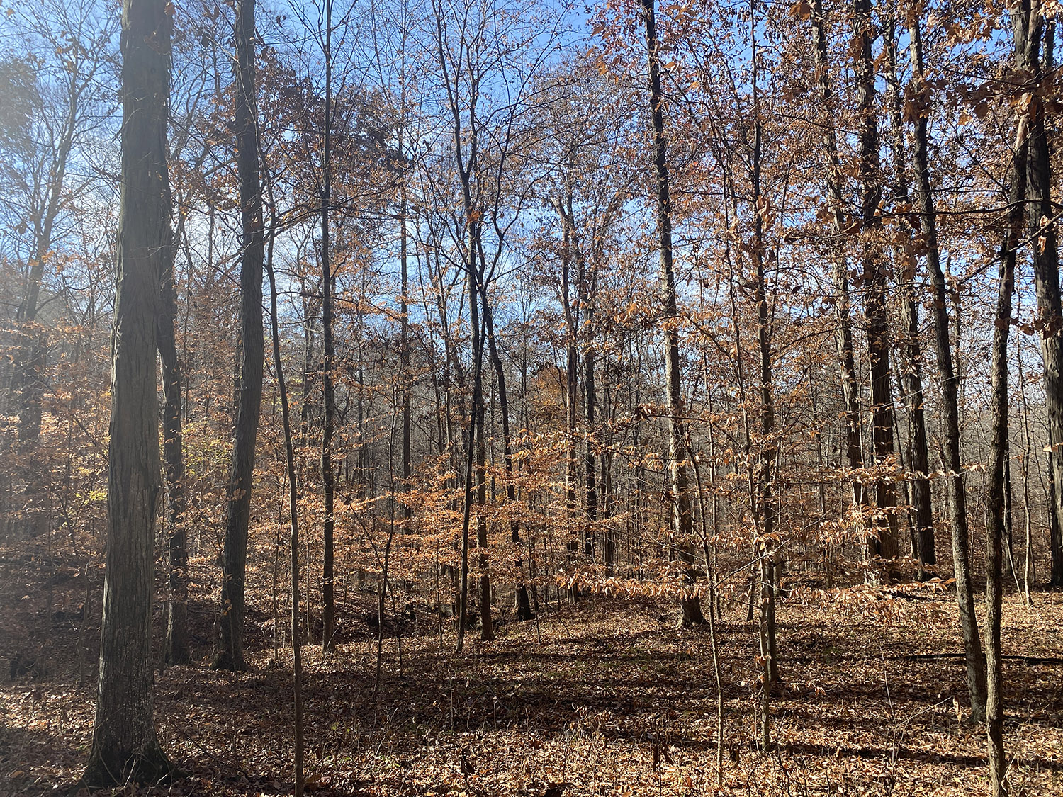 3 Beautiful Ridge Top Property with ridgeline_monroe_county_land_for_sale