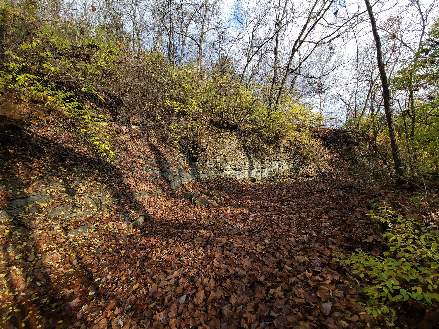 17 +/ Acres Franklin County on Snail Creek Farm Real Estate for Sale