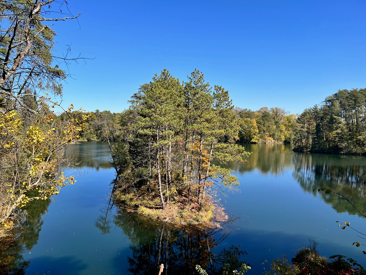 52.32 +/ Acres Sullivan County Private Lake with Cabin Farm Real