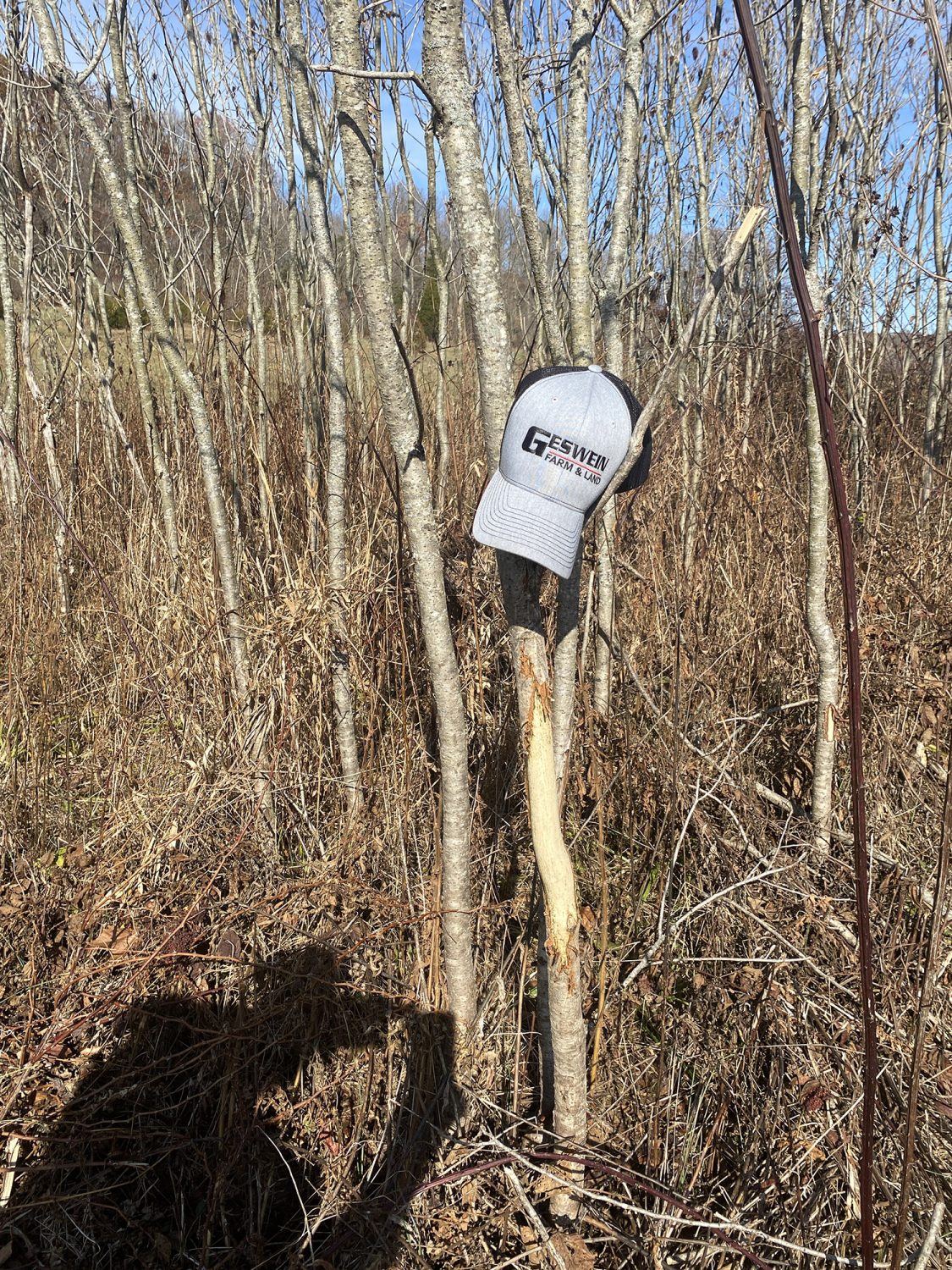 IMG_1739_monroe_county_land_for_sale