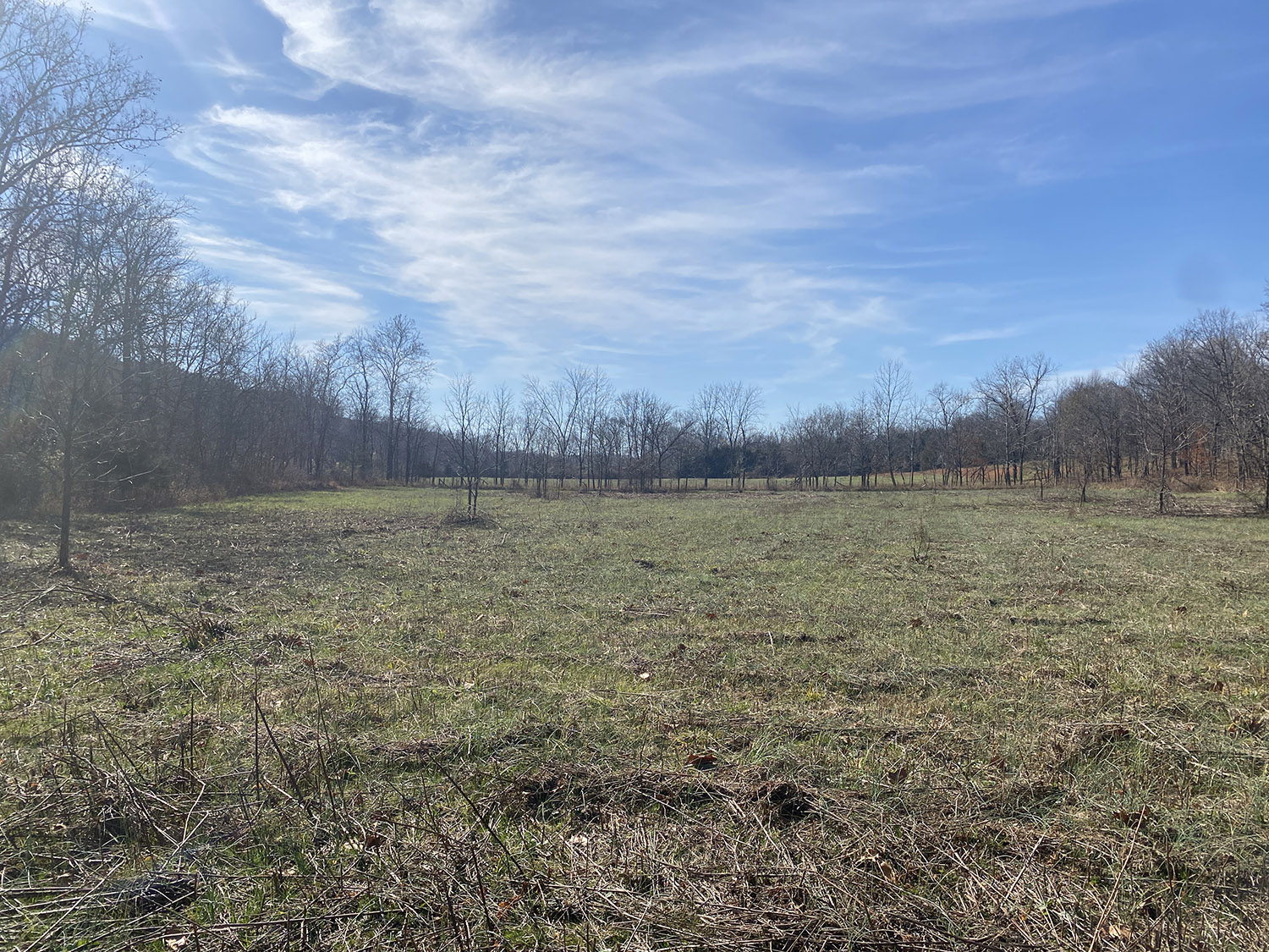 IMG_1740_monroe_county_land_for_sale