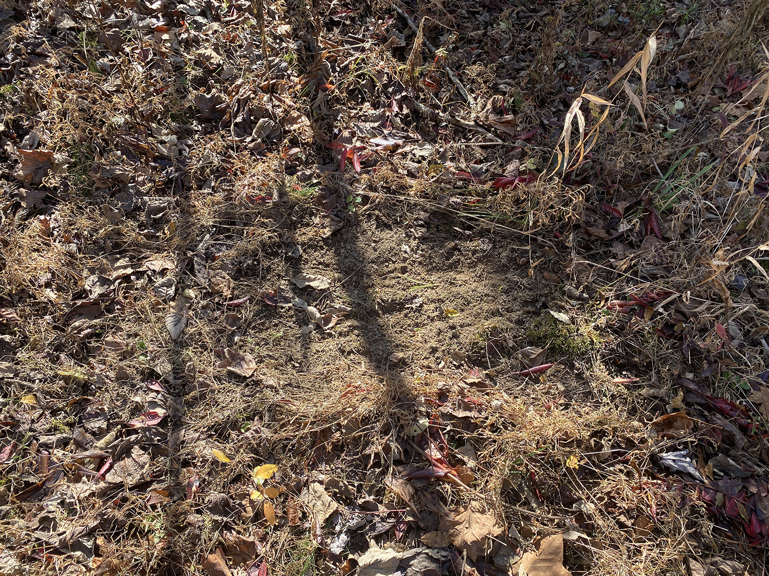 IMG_1742_monroe_county_land_for_sale