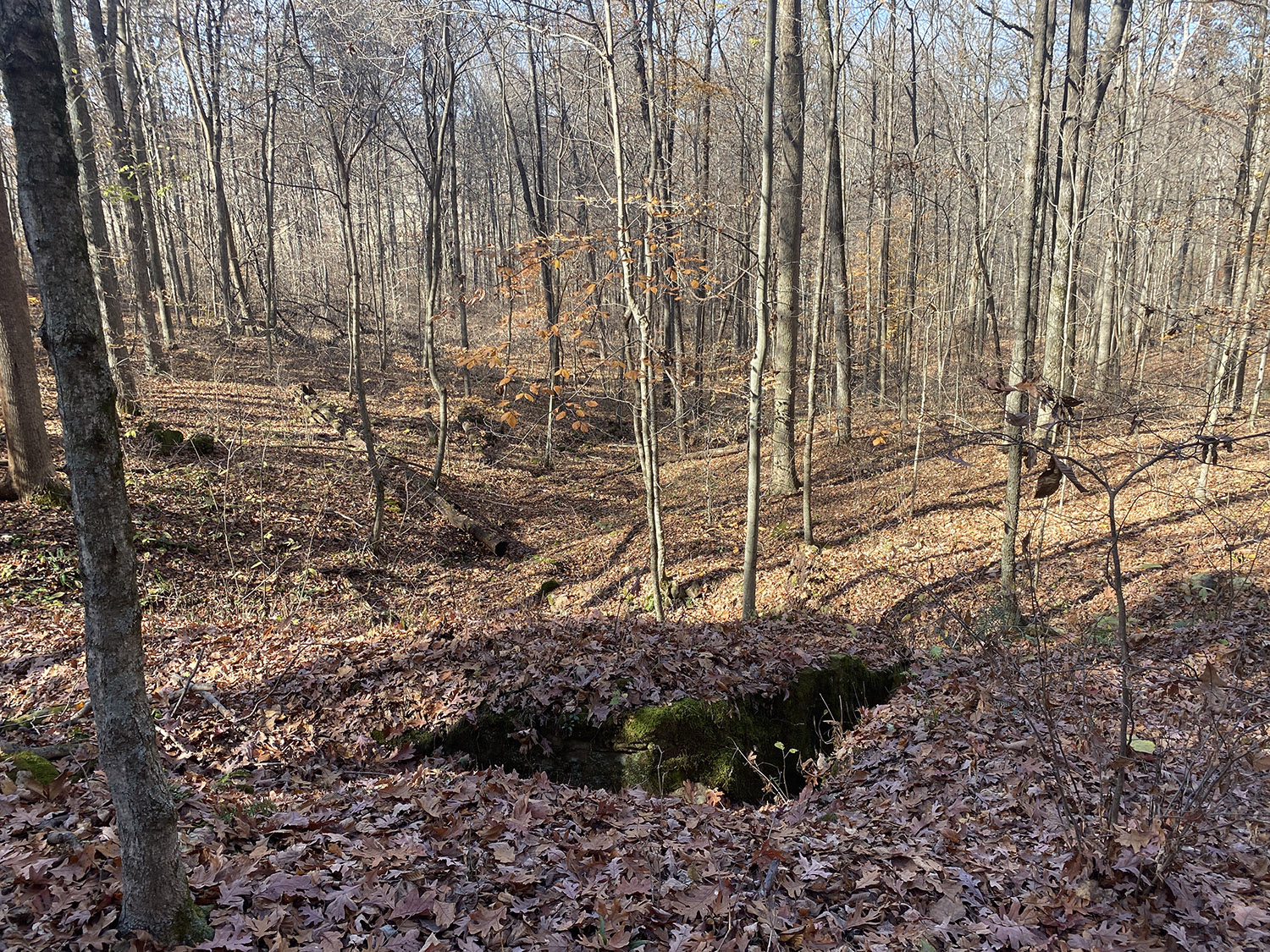 IMG_1761_monroe_county_land_for_sale