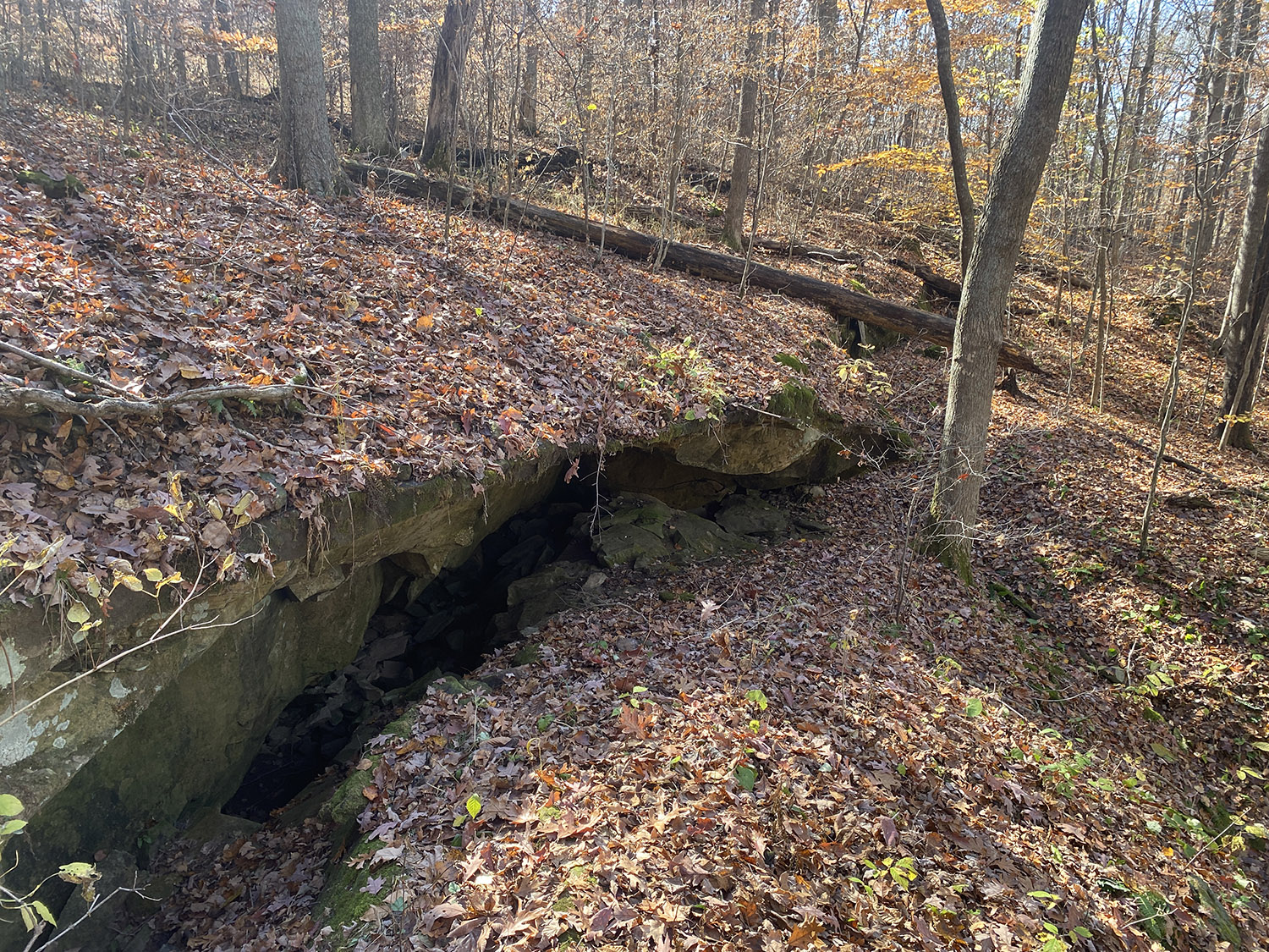 IMG_1762_monroe_county_land_for_sale