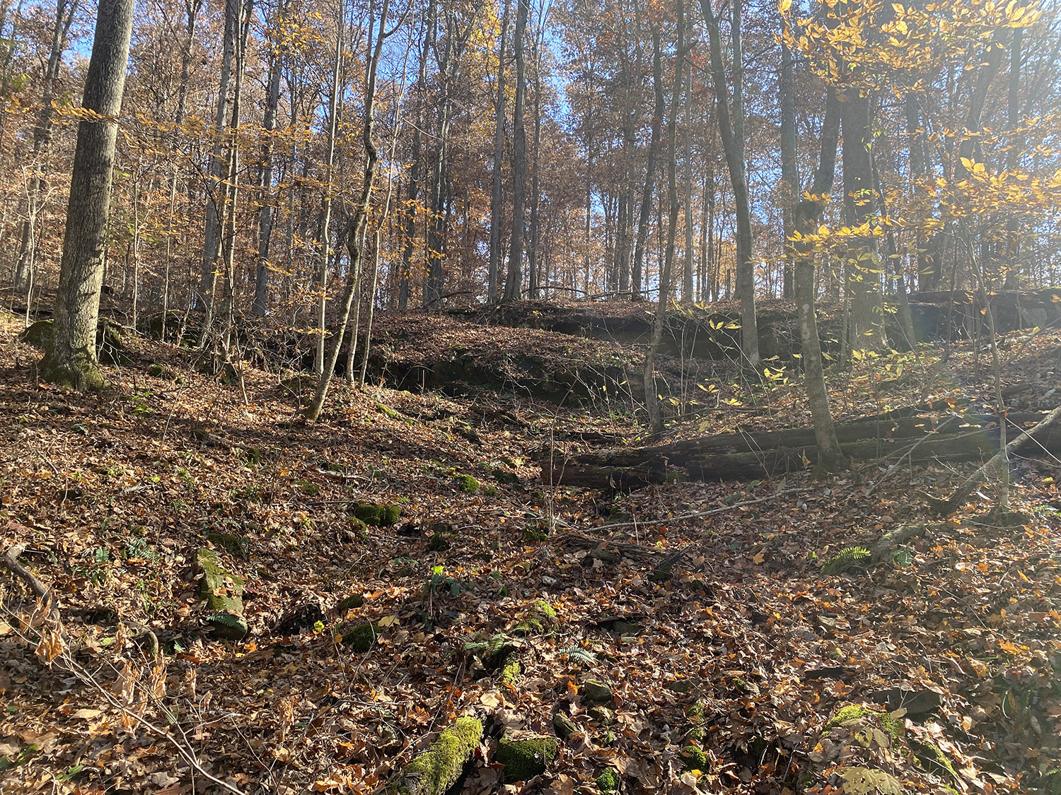 IMG_1763_monroe_county_land_for_sale