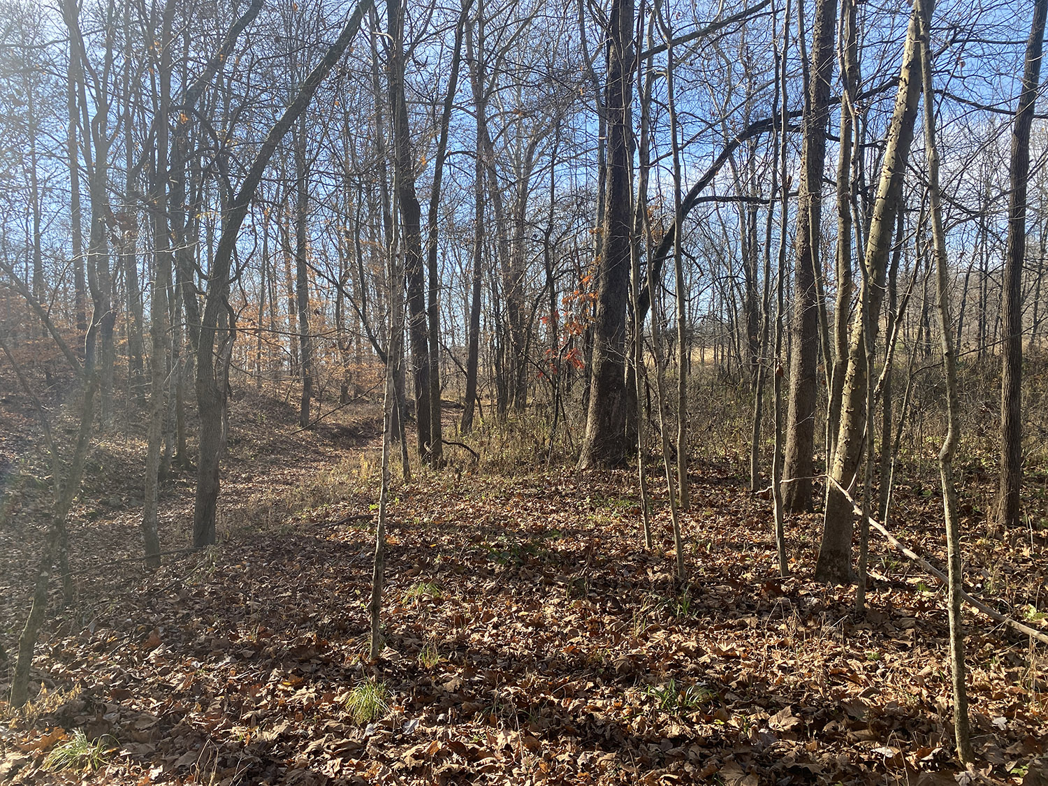 IMG_1773_monroe_county_land_for_sale