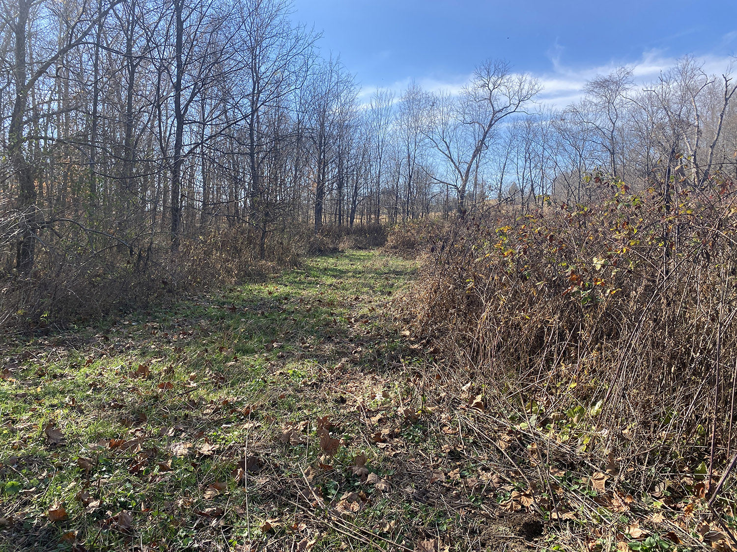 IMG_1774_monroe_county_land_for_sale