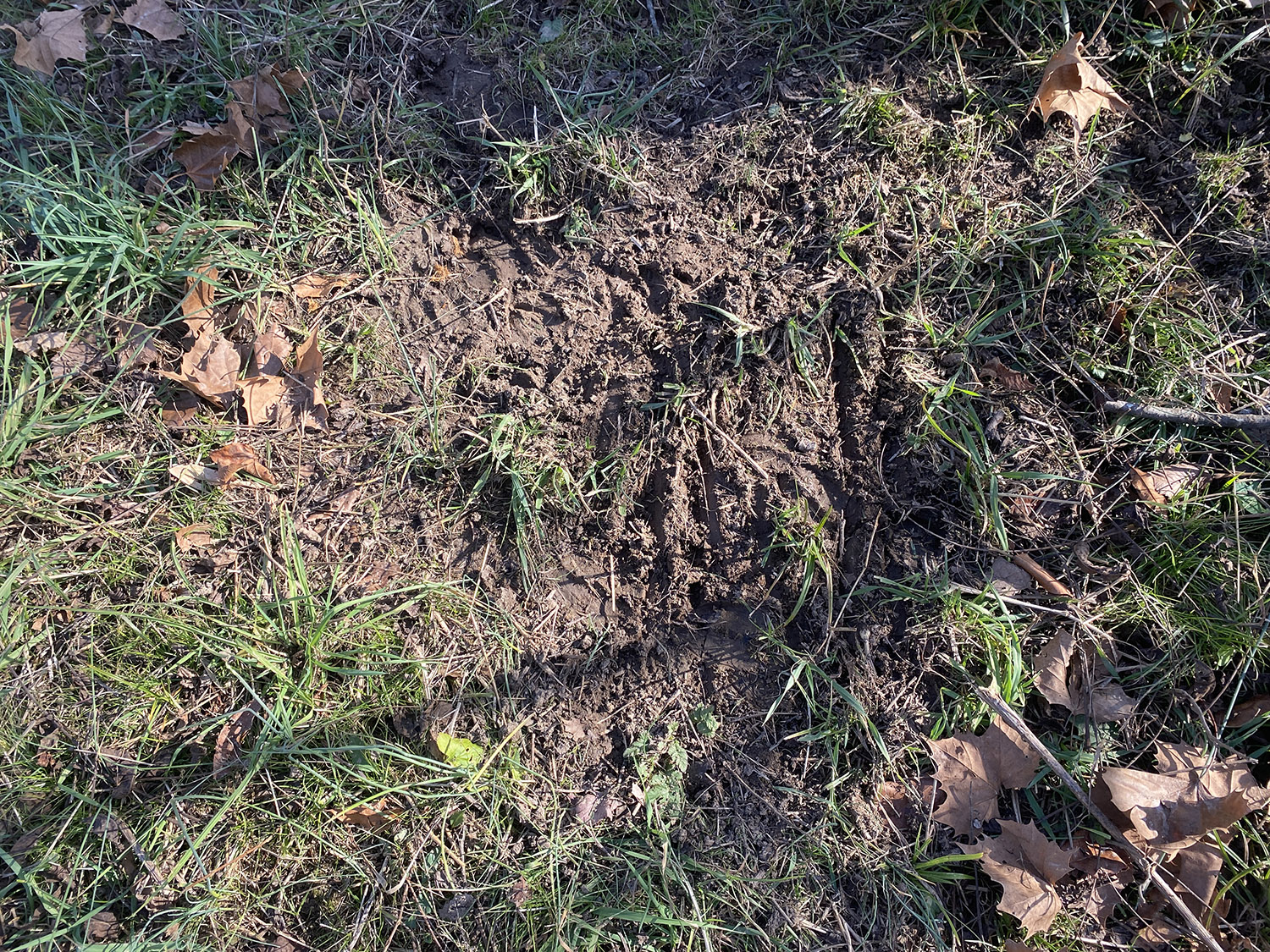 IMG_1782_monroe_county_land_for_sale