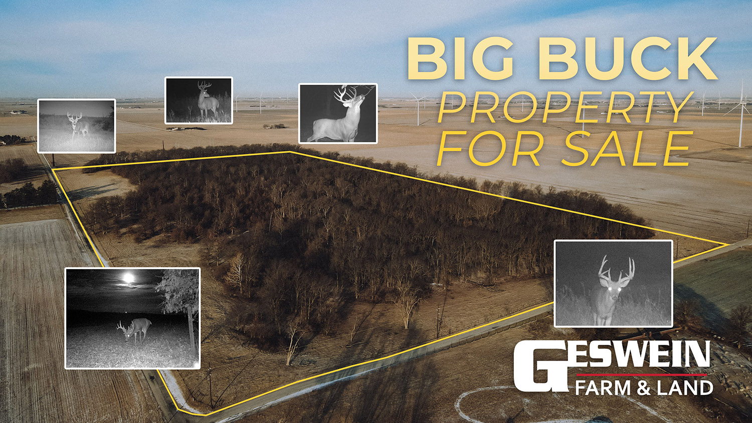 WHITE COUNTY, INDIANA 80 +/ ACRE PROPERTY FOR SALE Farm Real Estate