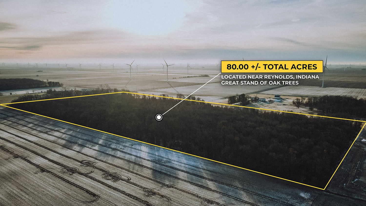 WHITE COUNTY, INDIANA 80 +/ ACRE PROPERTY FOR SALE Farm Real Estate