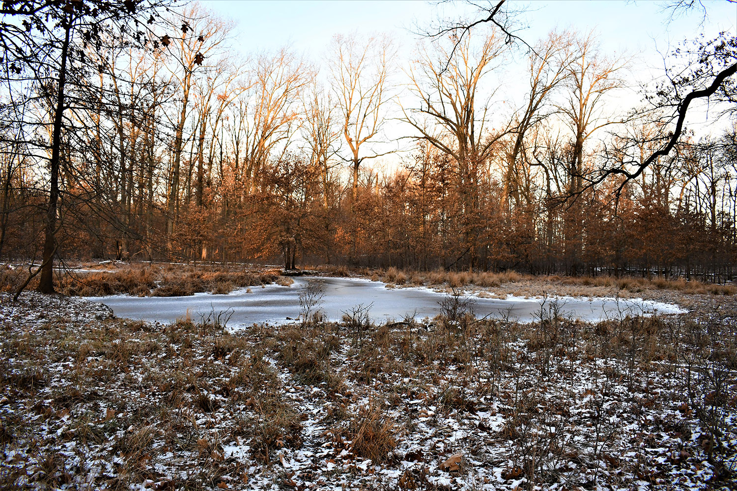 WHITE COUNTY, INDIANA 80 +/ ACRE PROPERTY FOR SALE Farm Real Estate for Sale, Wooded Property