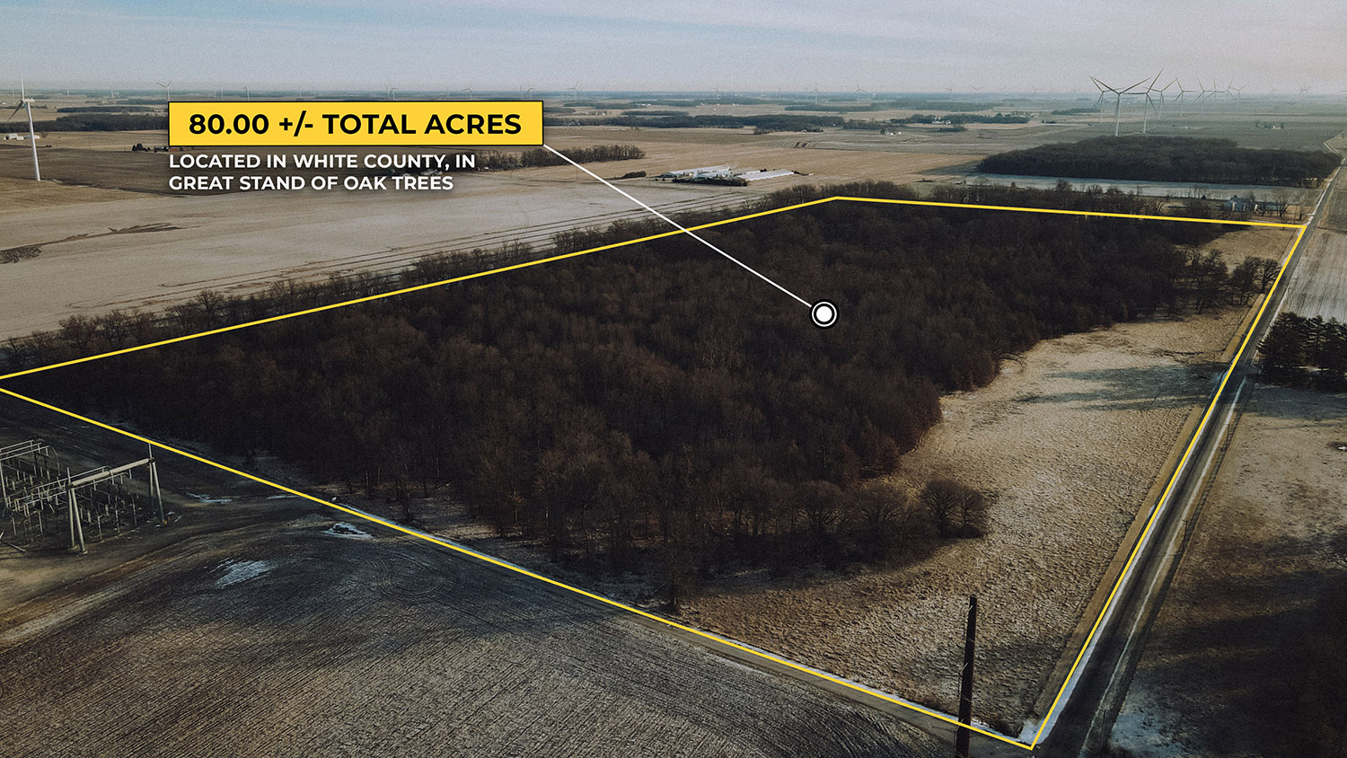 WHITE COUNTY, INDIANA 80 +/ ACRE PROPERTY FOR SALE Farm Real Estate for Sale, Wooded Property