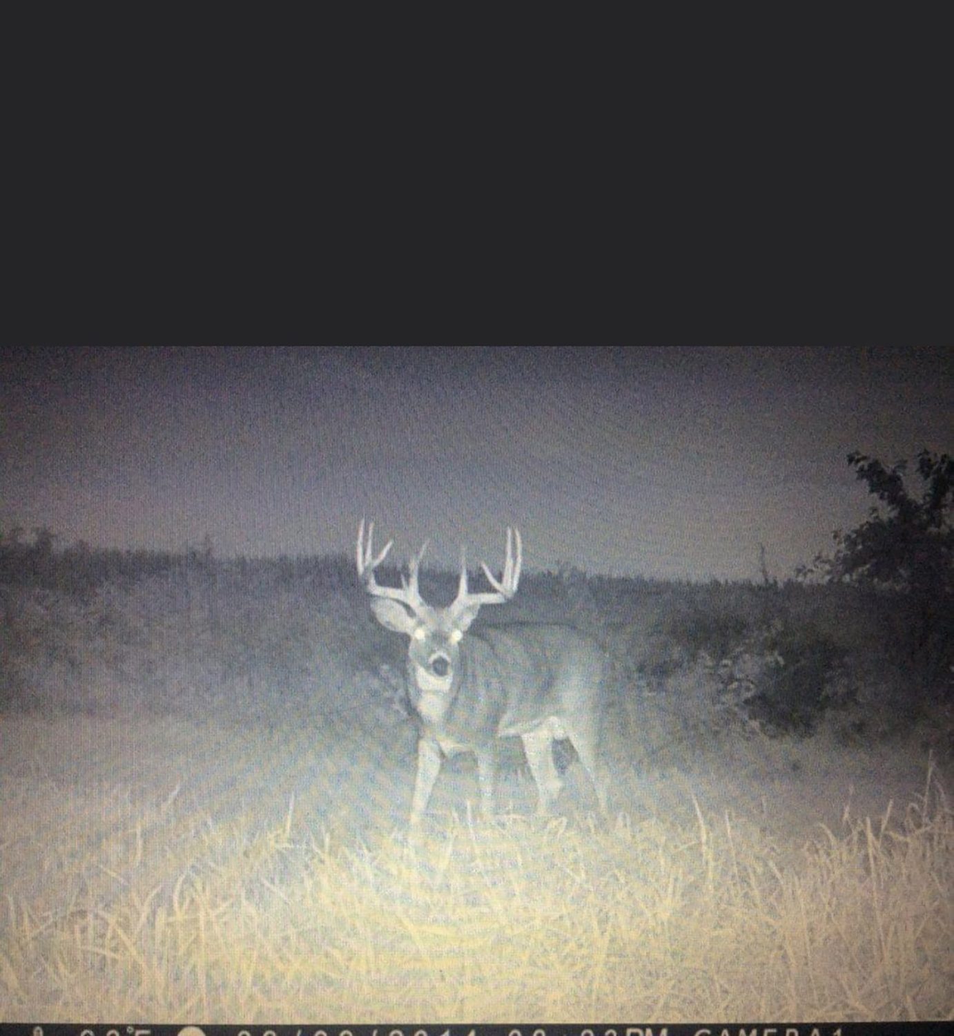 10_white_county_indiana